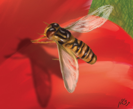 דבורה (מתוך ציור הכלניות)