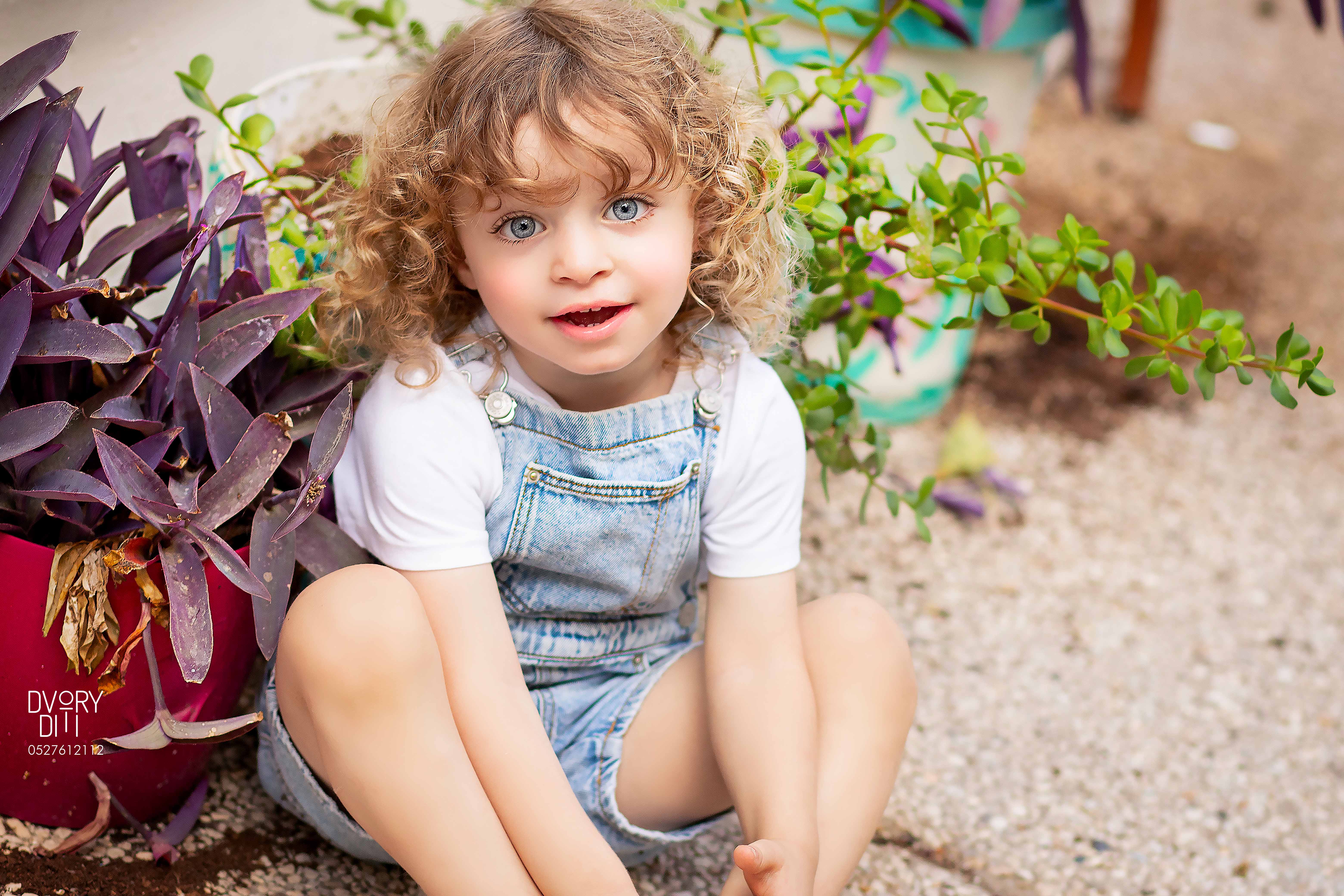 דבורי דיתי 0527612112 (13).jpg