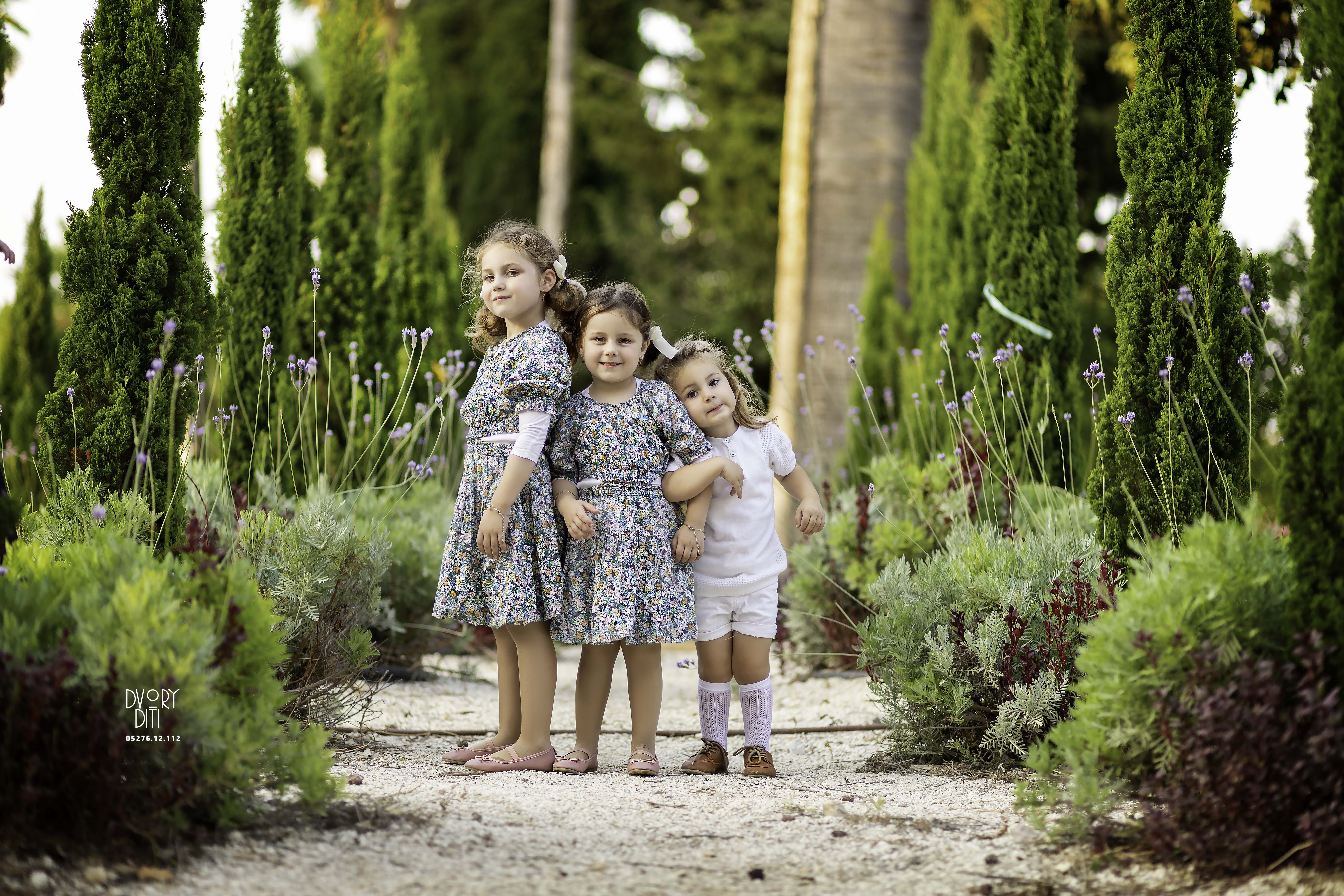 דבורי דיתי 0527612112 (3).jpg