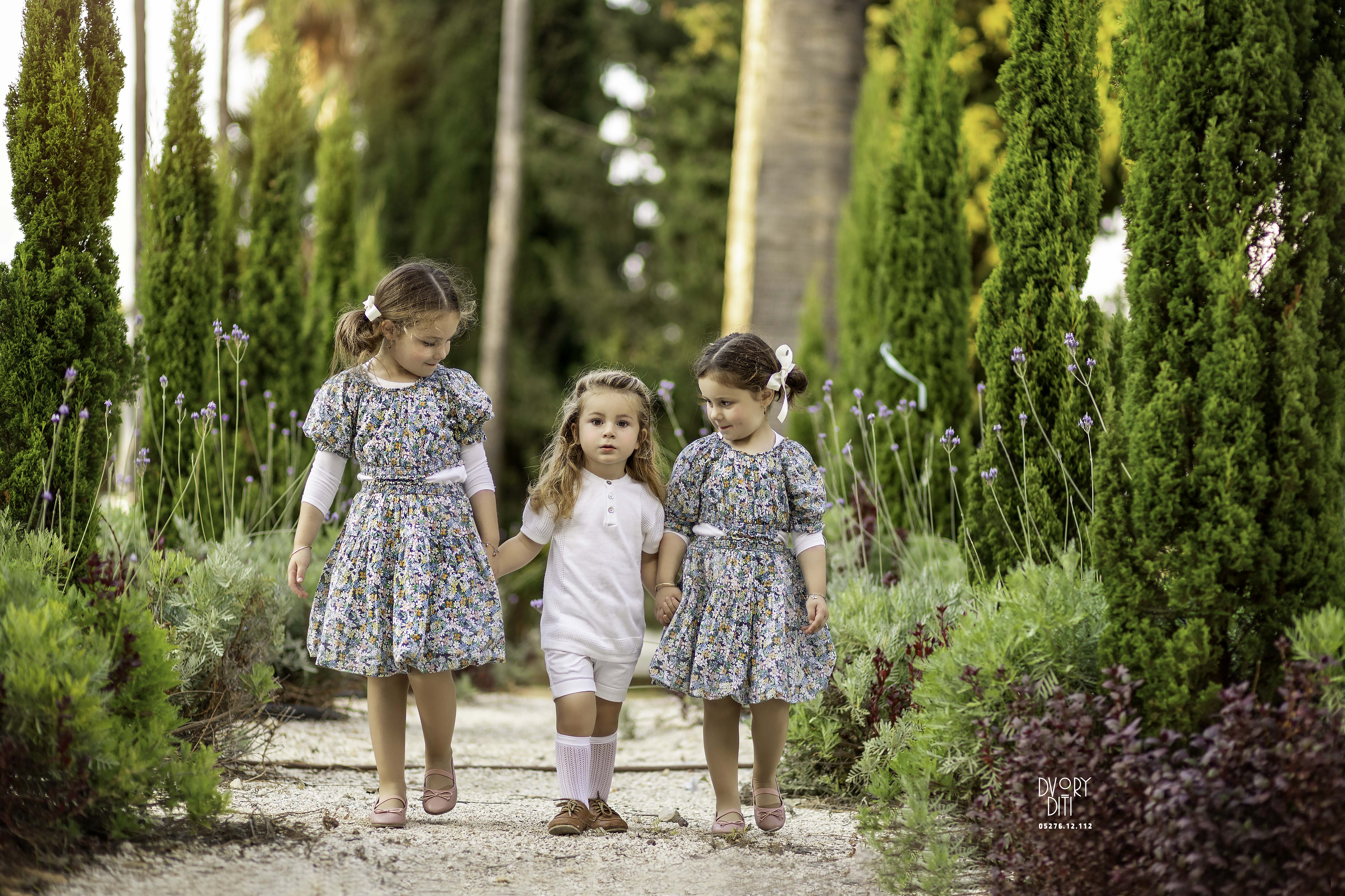 דבורי דיתי 0527612112 (4).jpg