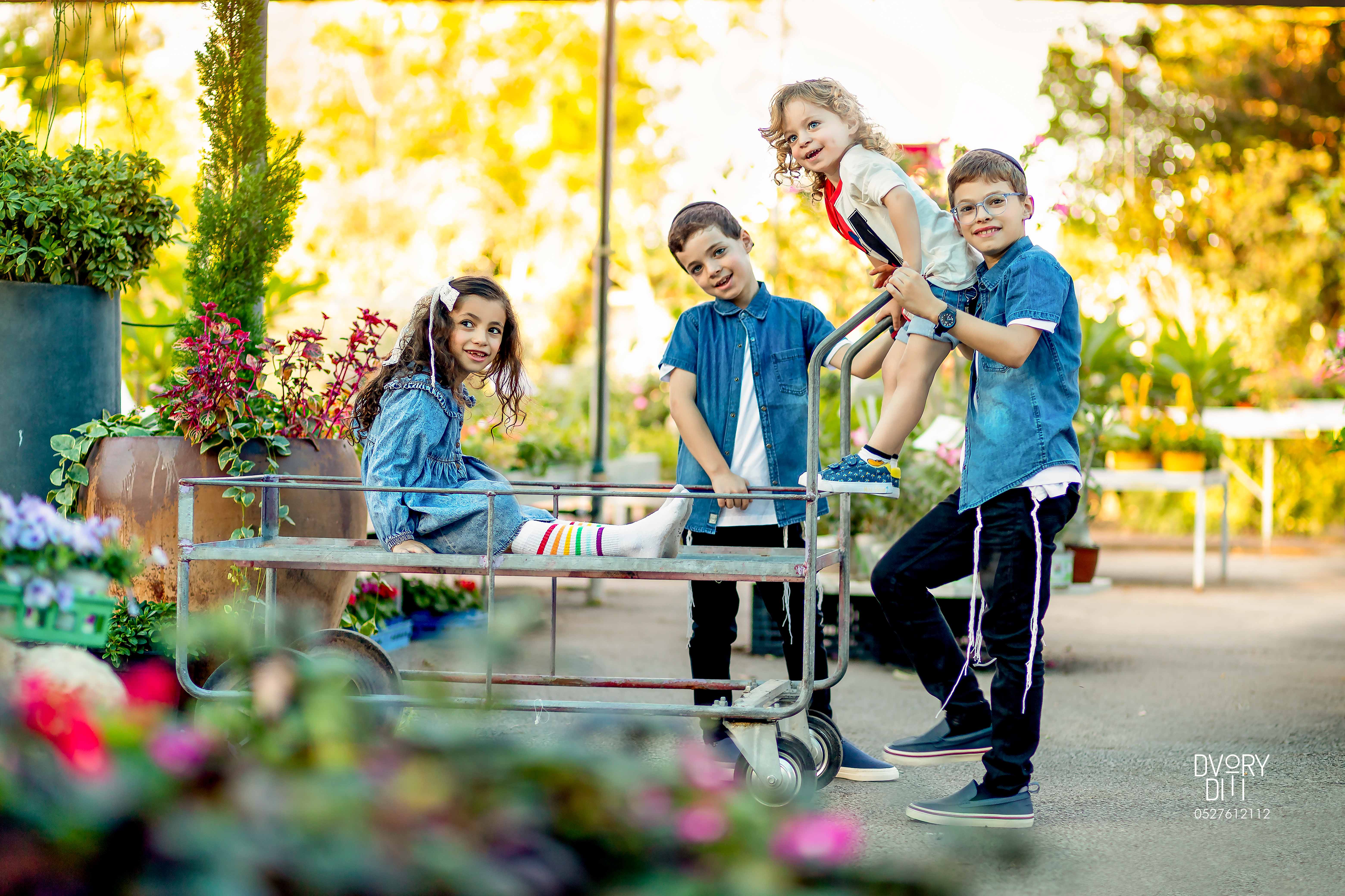 דבורי דיתי 0527612112 (50).jpg