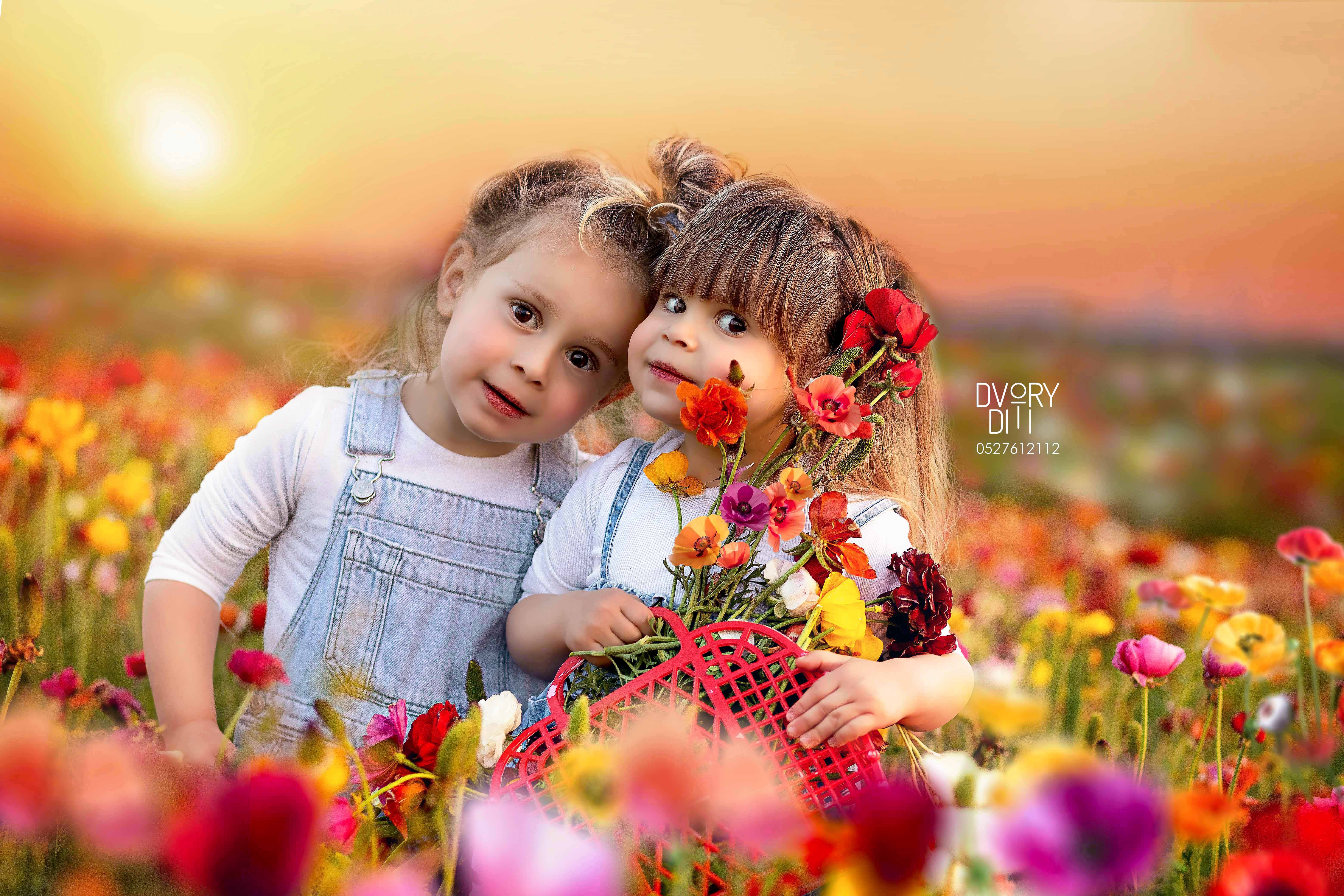 דבורי דיתי 0527612112 (73).jpg