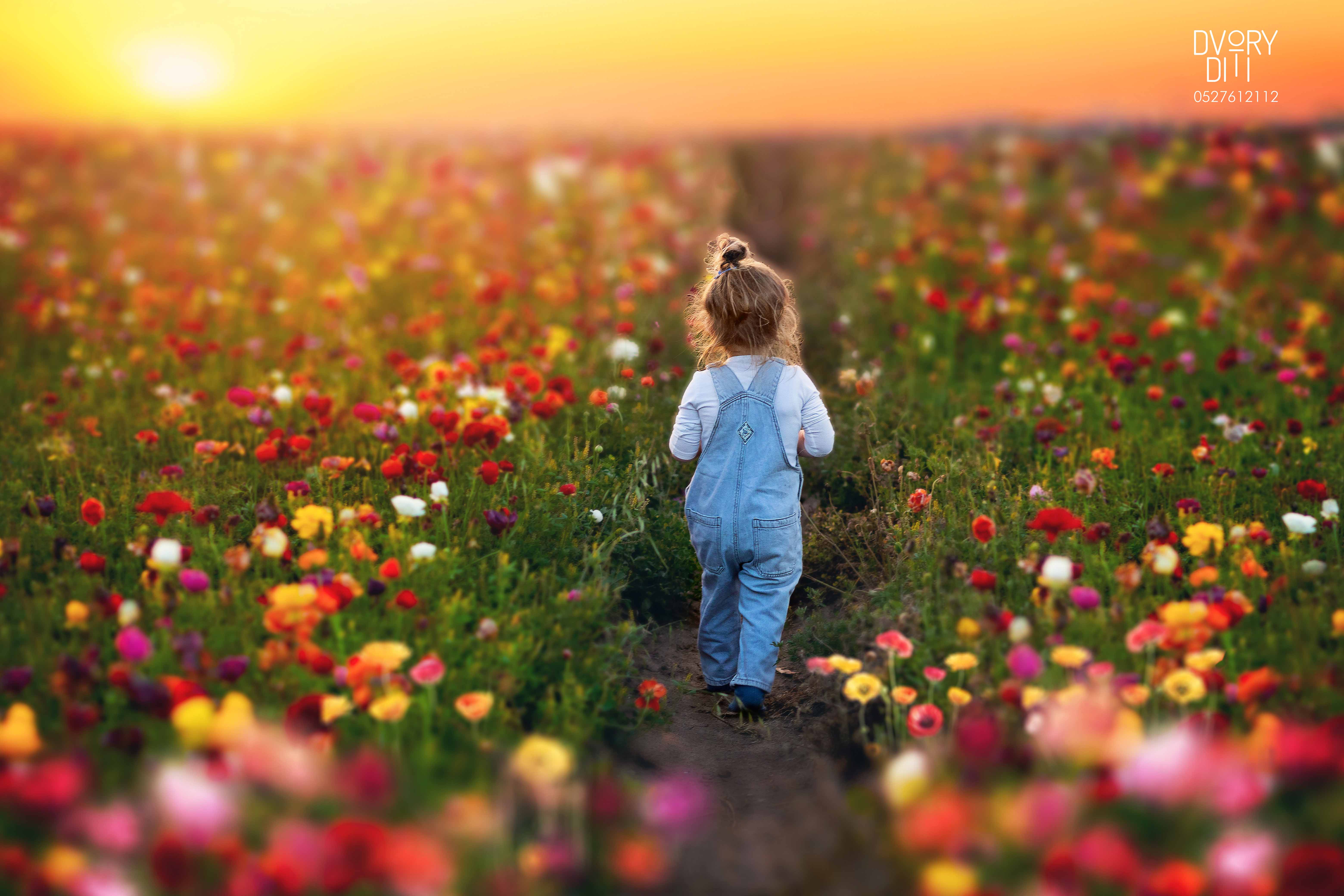 דבורי דיתי 0527612112 (74).jpg