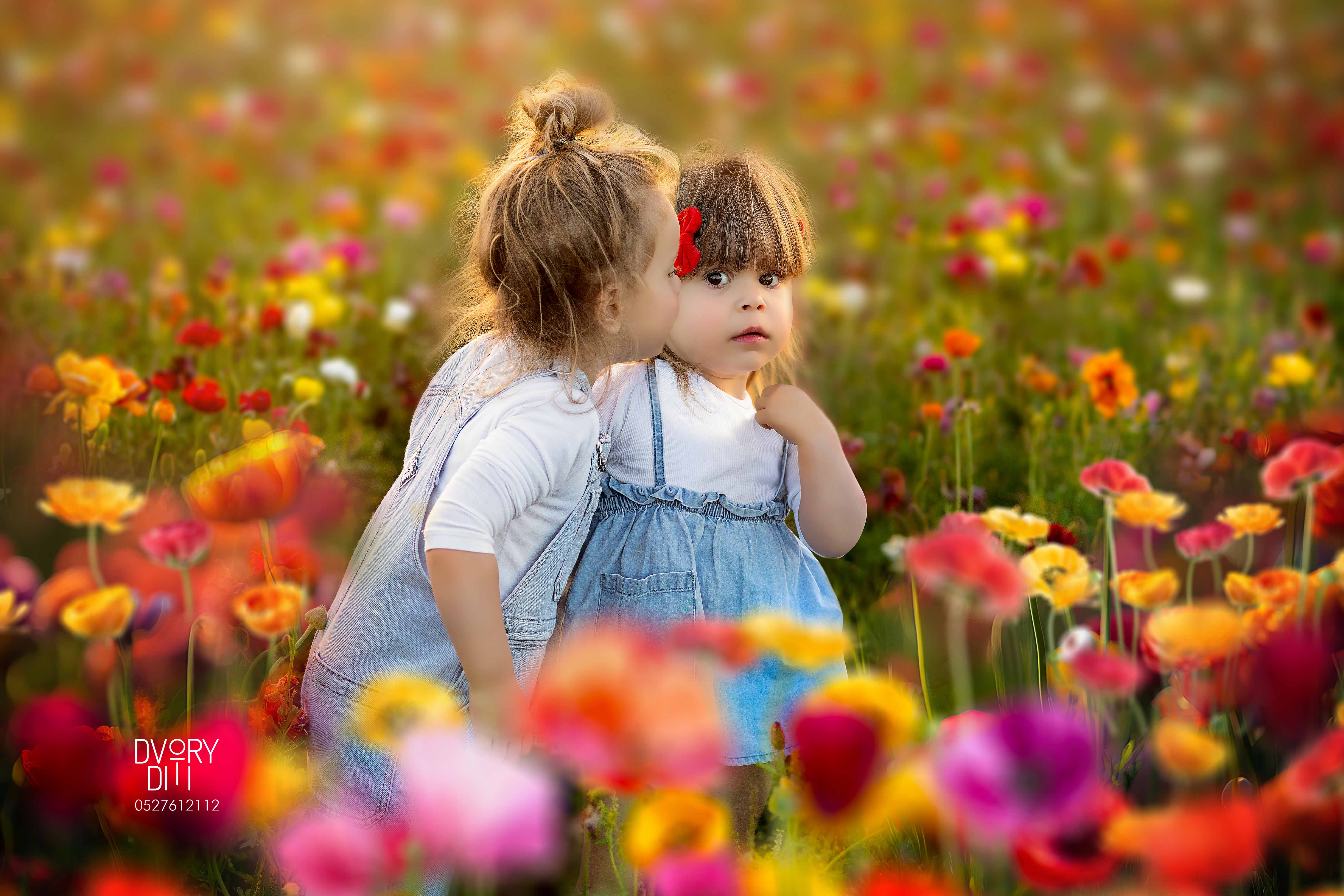 דבורי דיתי 0527612112 (75).jpg