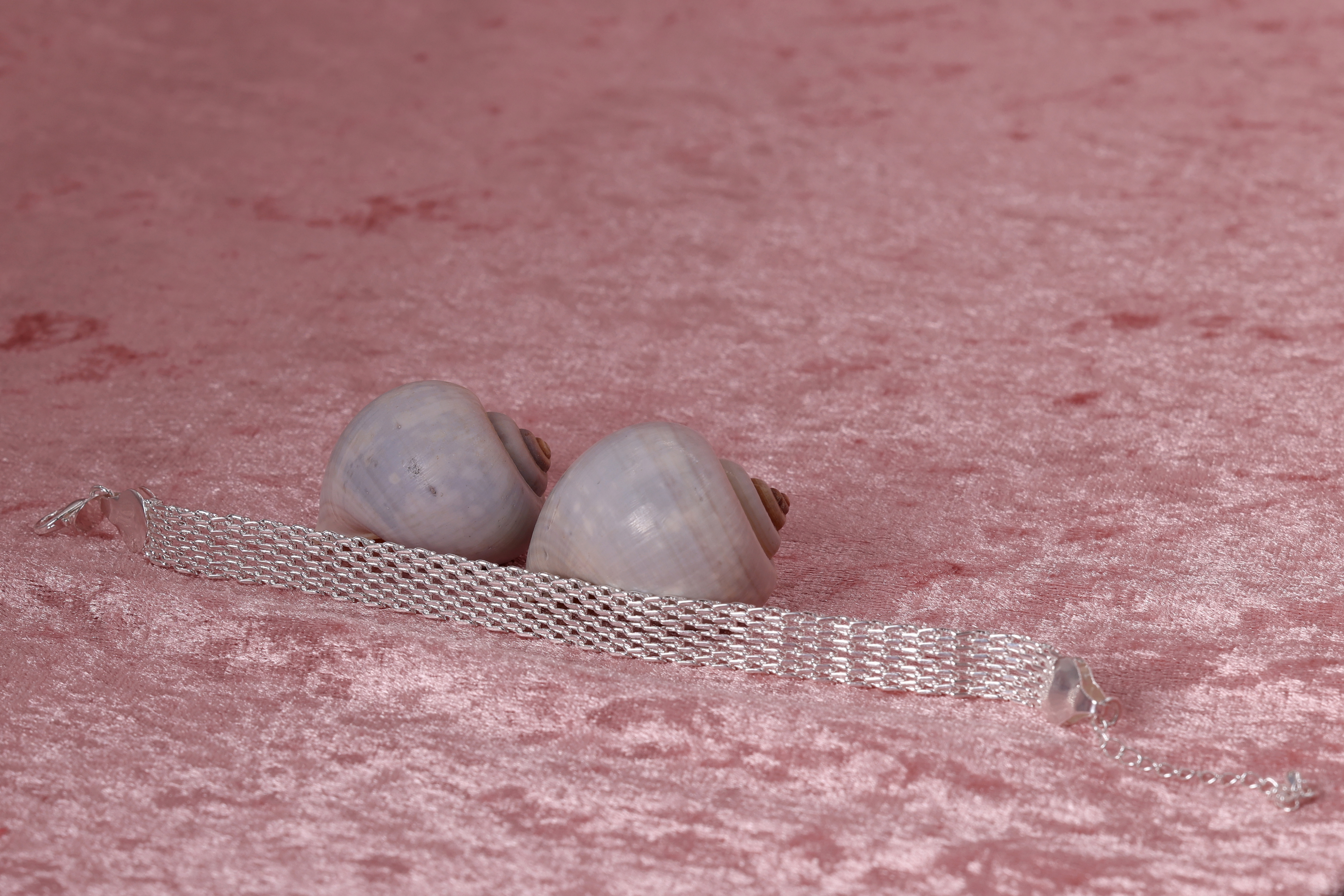 דבורי הרשלר 0527143082 לצפיה בלבד (17).jpg