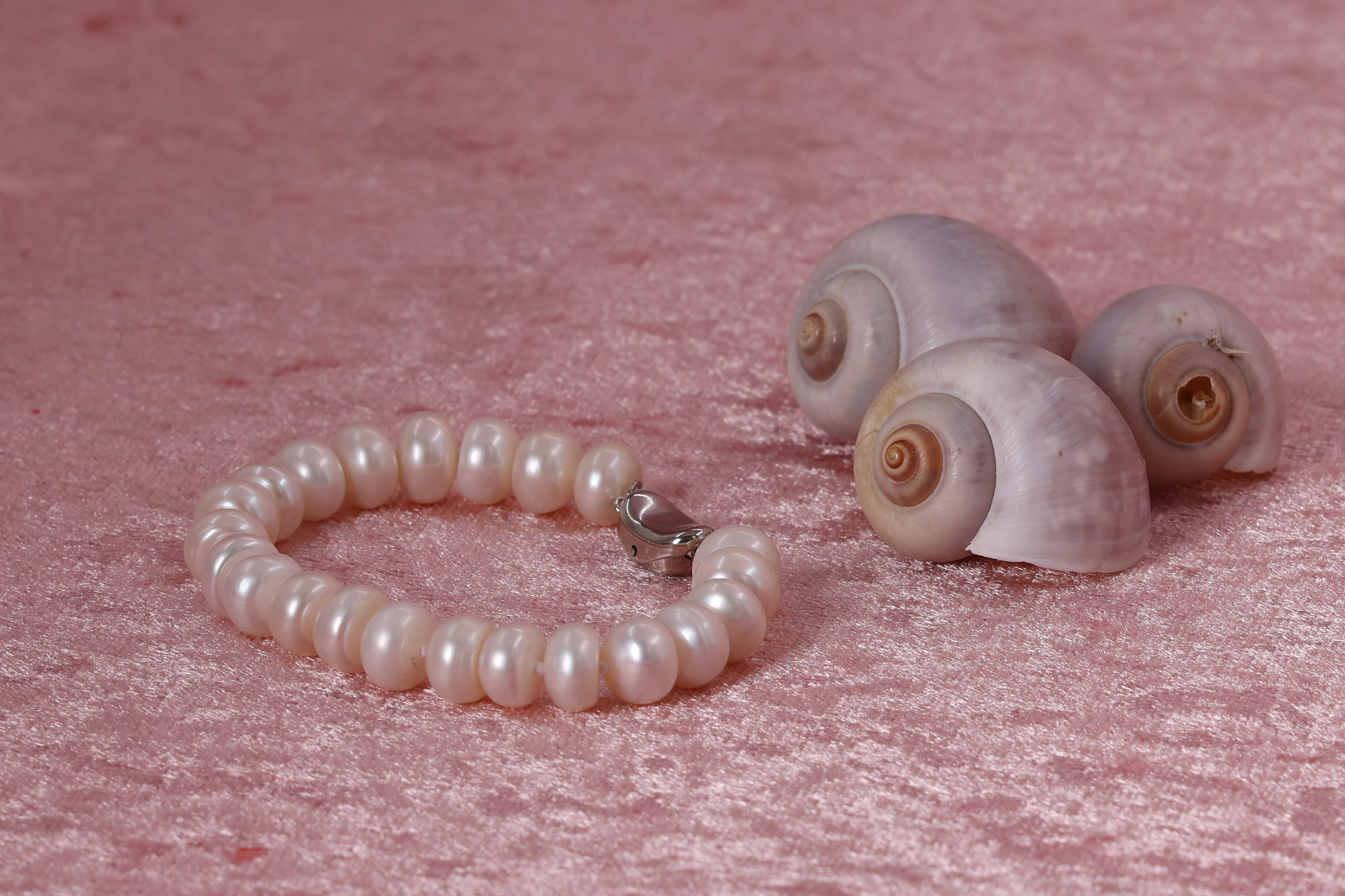 דבורי הרשלר 0527143082 לצפיה בלבד (18).jpg