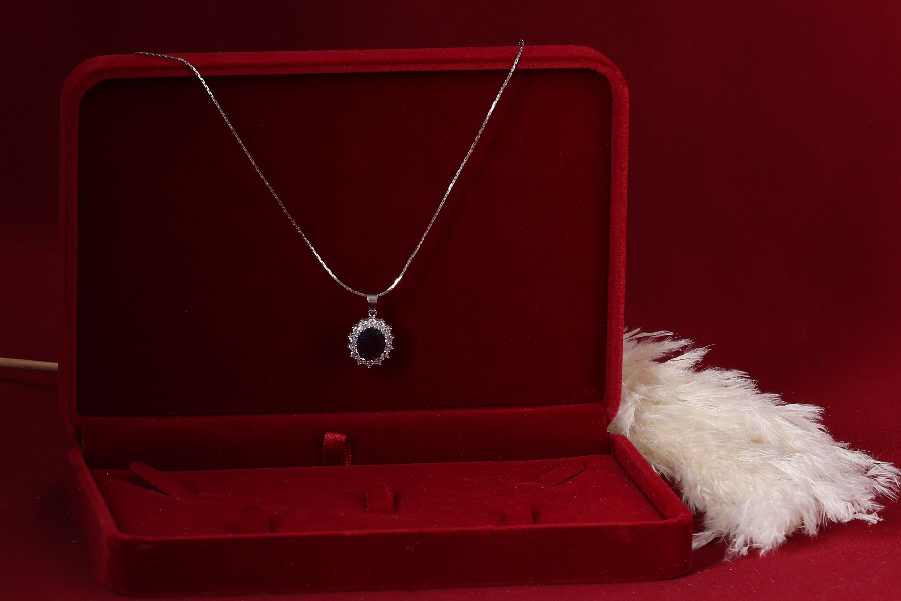 דבורי הרשלר 0527143082 לצפיה בלבד (49).jpg