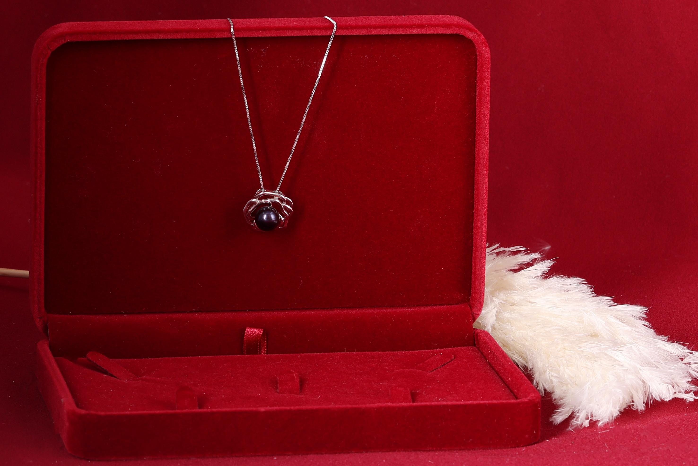 דבורי הרשלר 0527143082 לצפיה בלבד (53).jpg