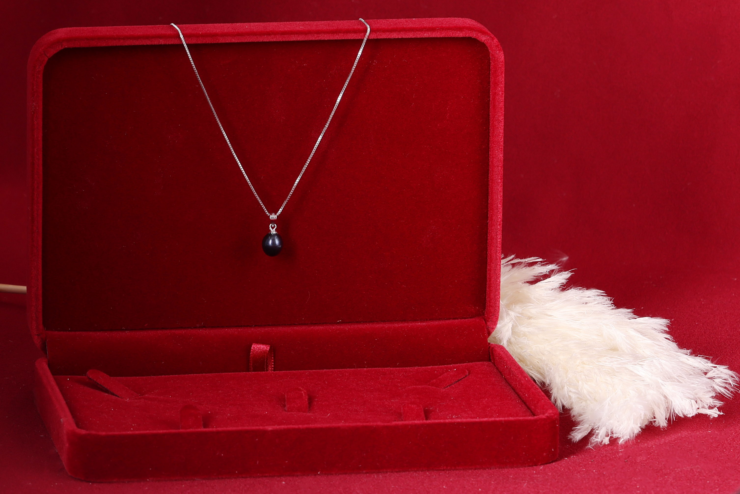 דבורי הרשלר 0527143082 לצפיה בלבד (54).jpg