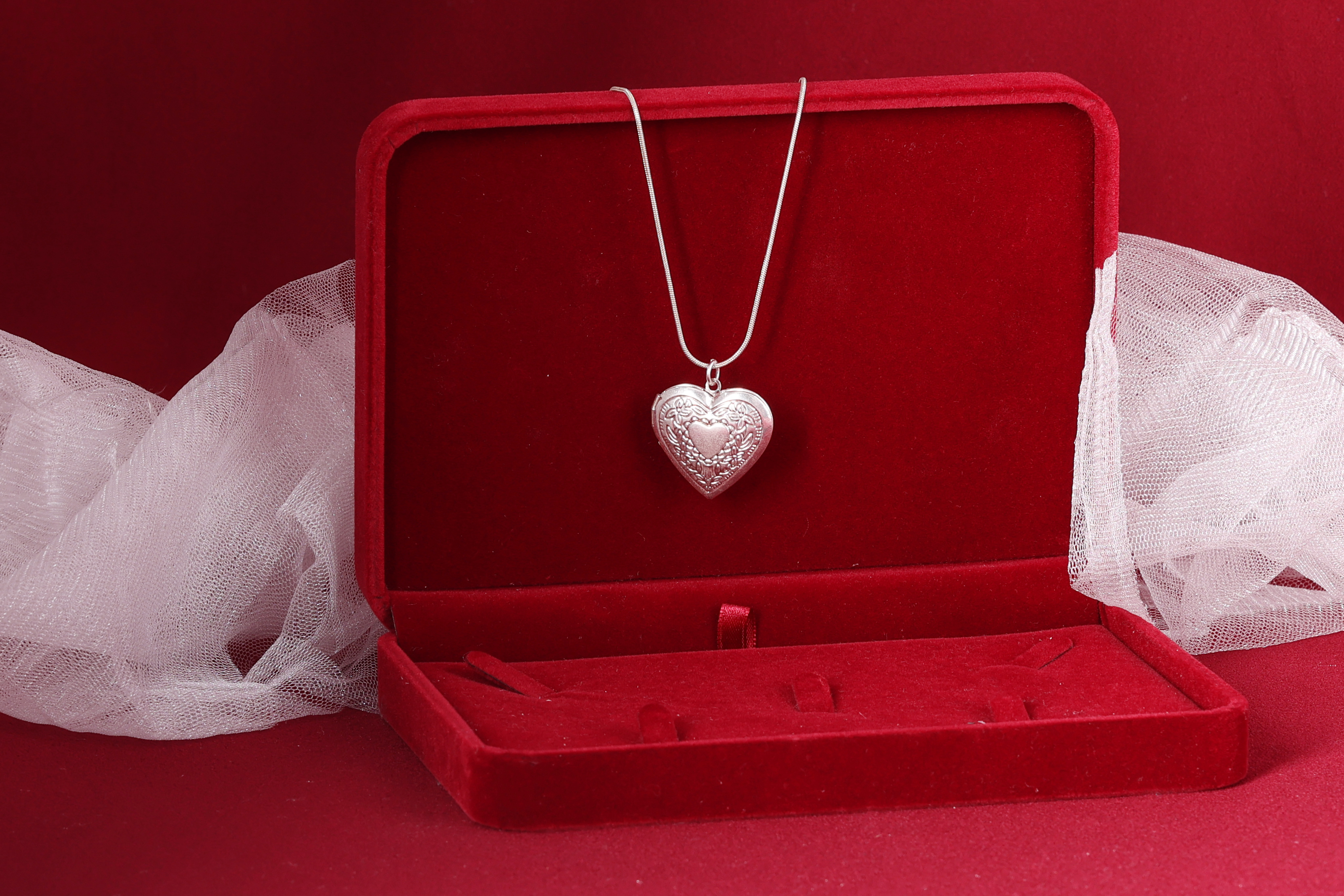 דבורי הרשלר 0527143082 לצפיה בלבד (58).jpg