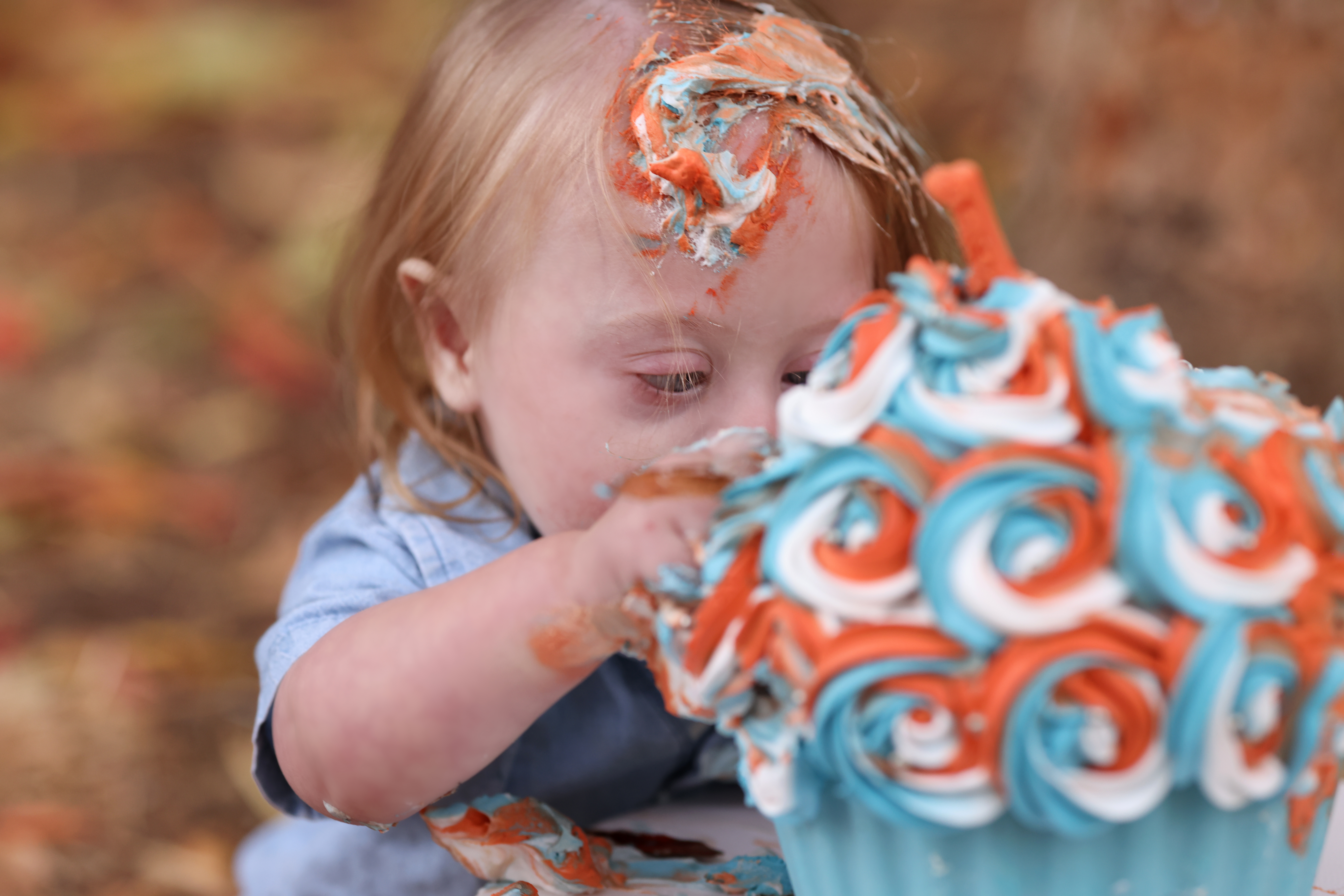 דבורי הרשלר 3.jpg