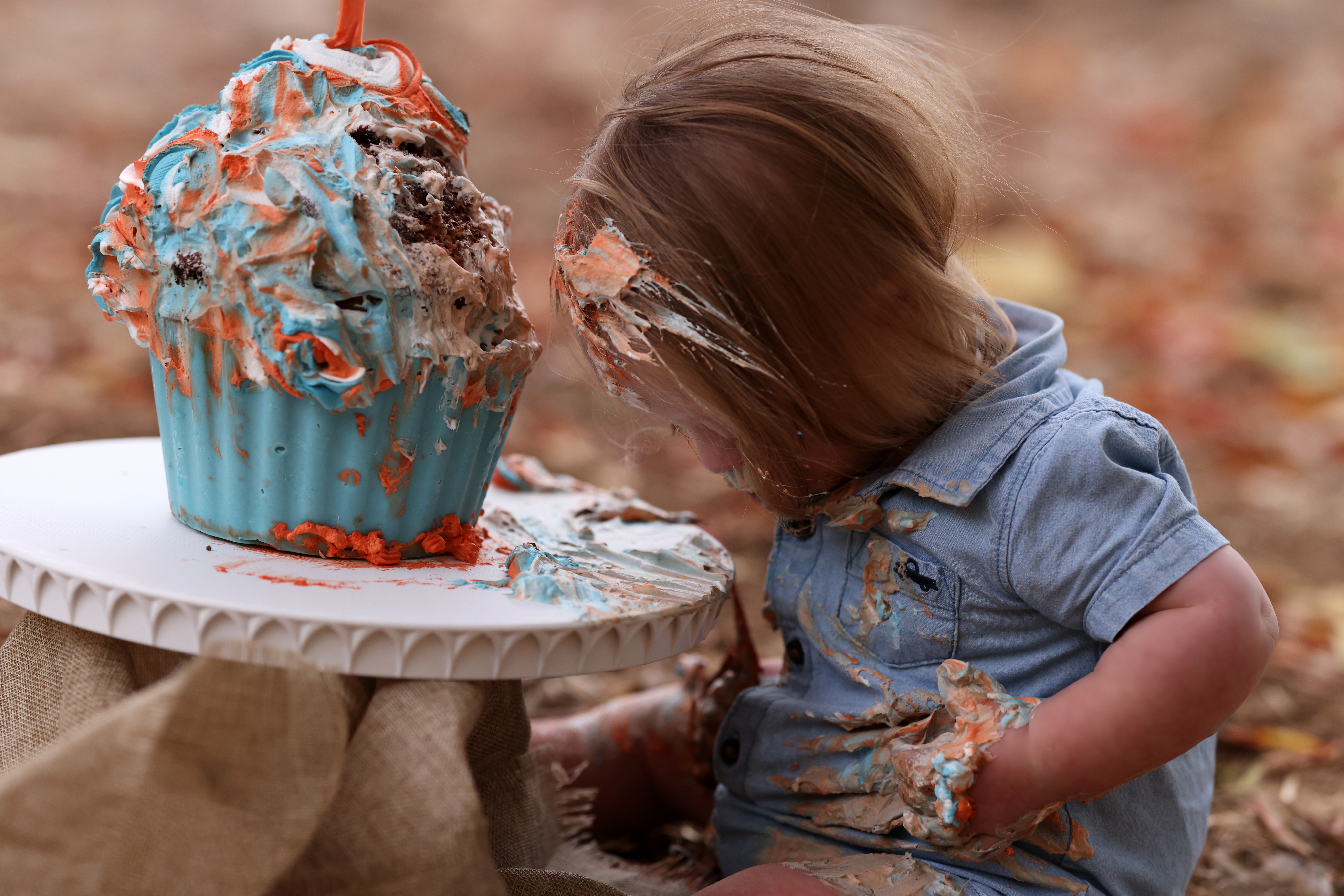 דבורי הרשלר 4.jpg