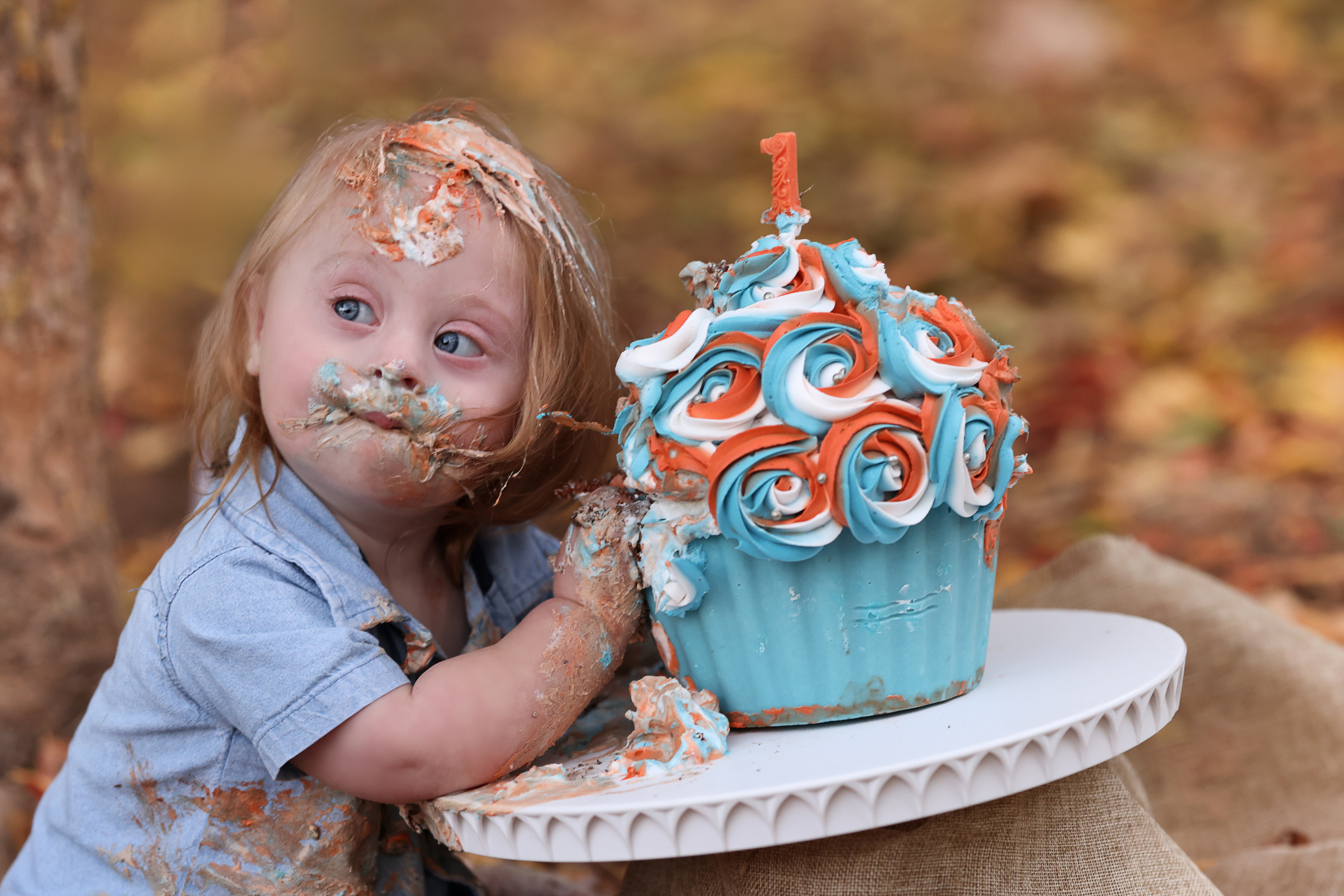 דבורי הרשלר.jpg