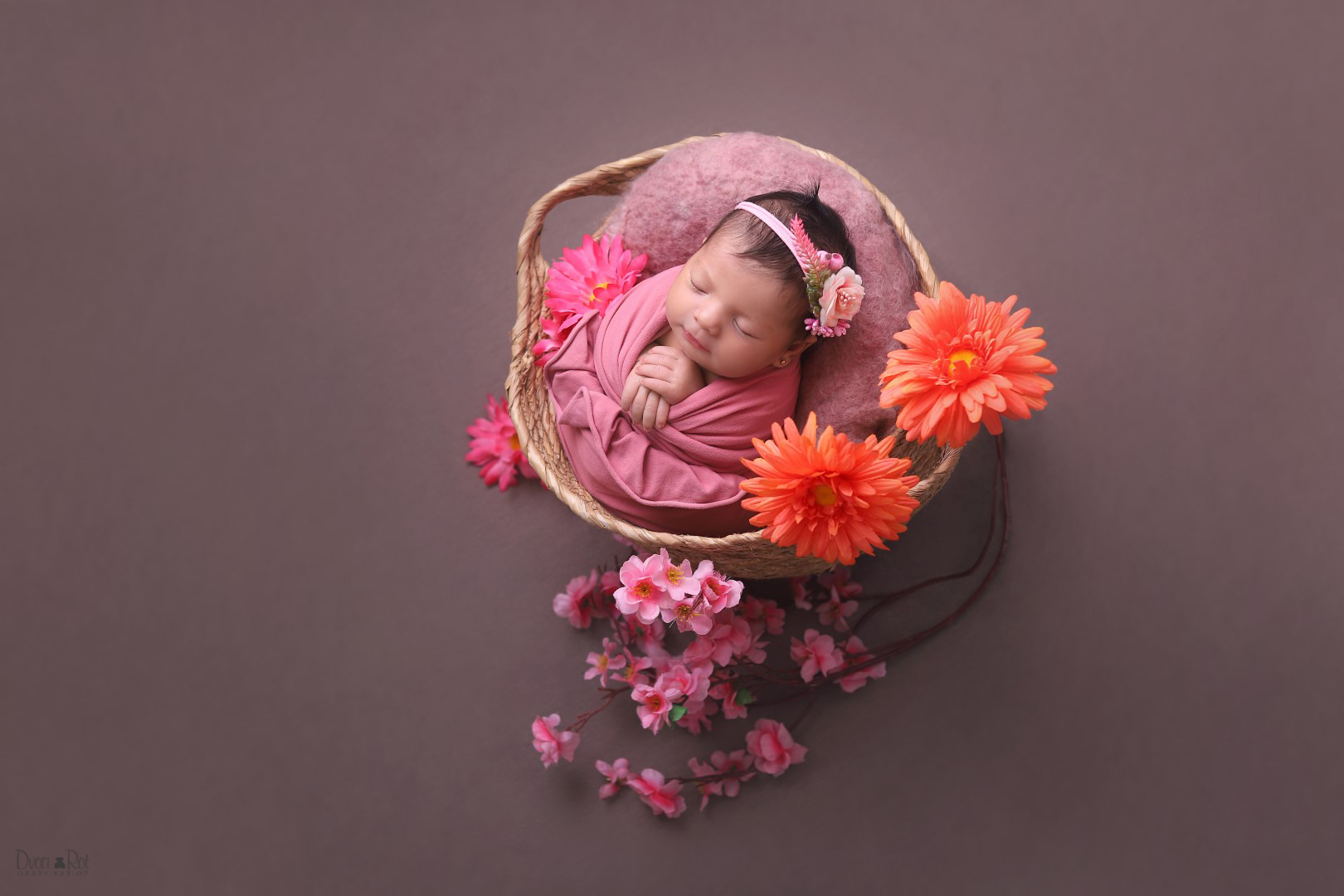 דבורי רוט צילומי ניו בורן 0527132307 (2) (Large).jpg