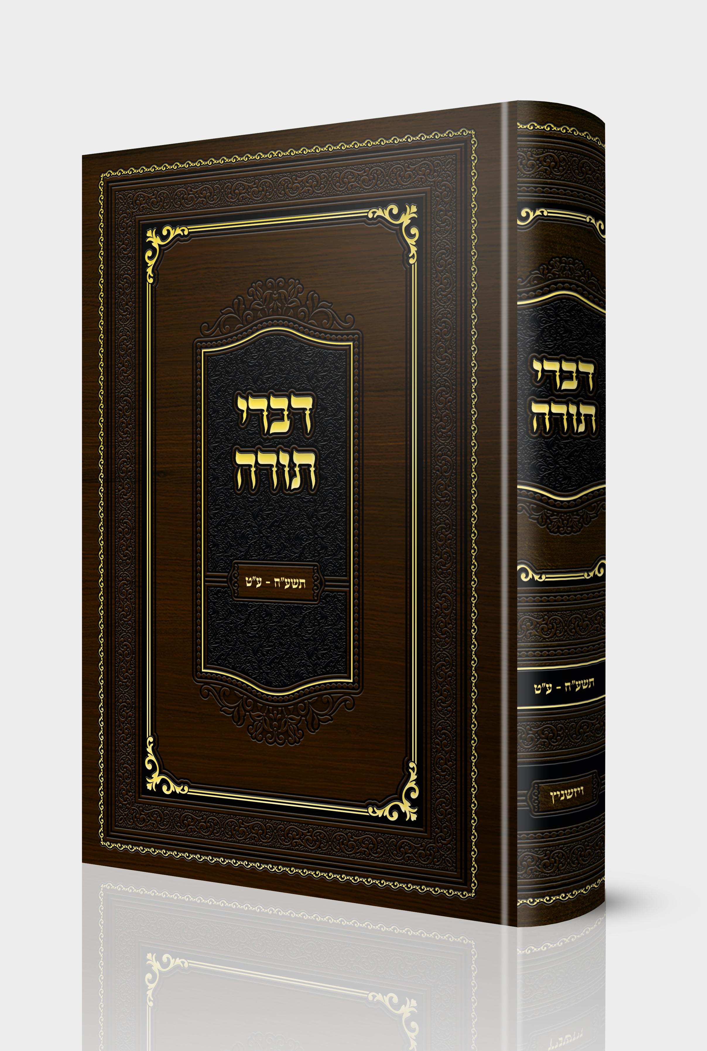 דברי תורה ויזשניץ