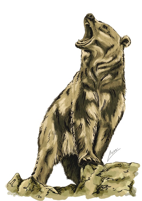 דב חום
נעשה עבור "קומיקוד"