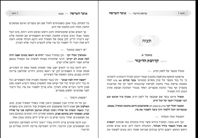 דוגמא אוצר 2.jpg