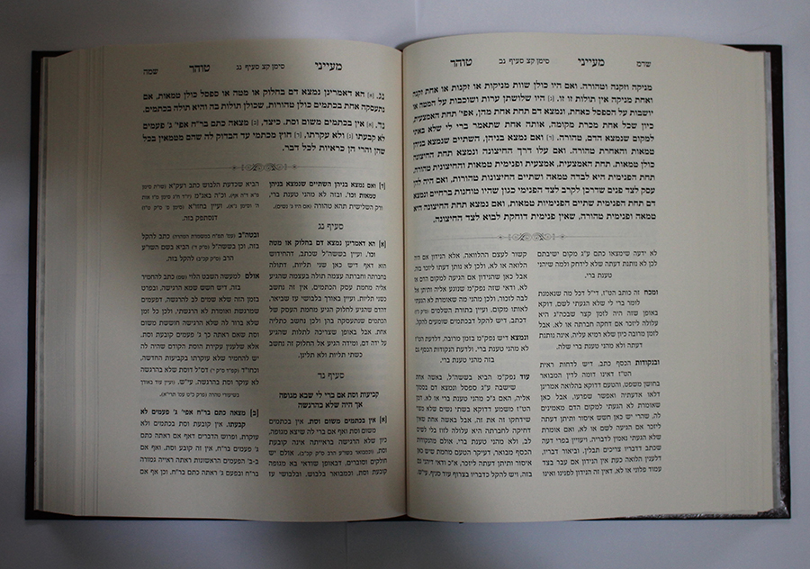 דוגמת עמוד פנים הספר