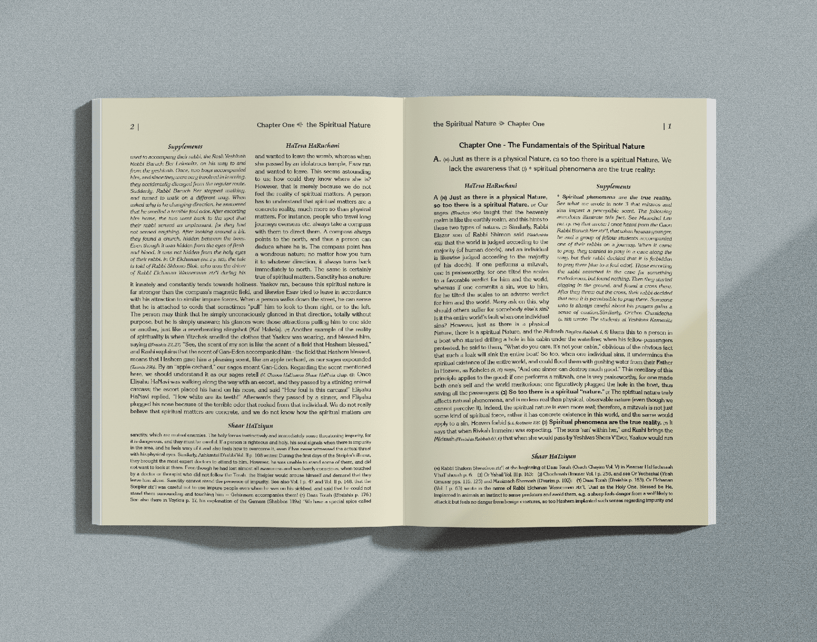 דוגמת רב טקסט-אנגלית באינדיזיין.png