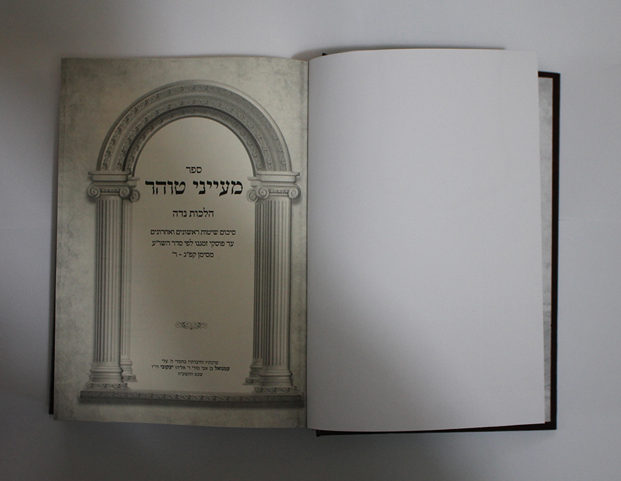 דוגמת שער ראשי