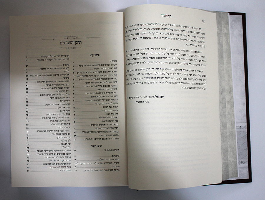 דוגמת תוכן עניינים