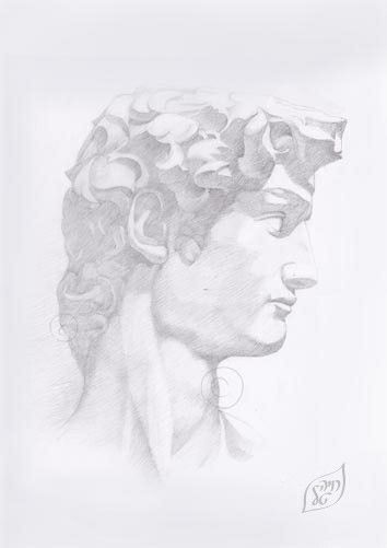 דוד / פרופיל