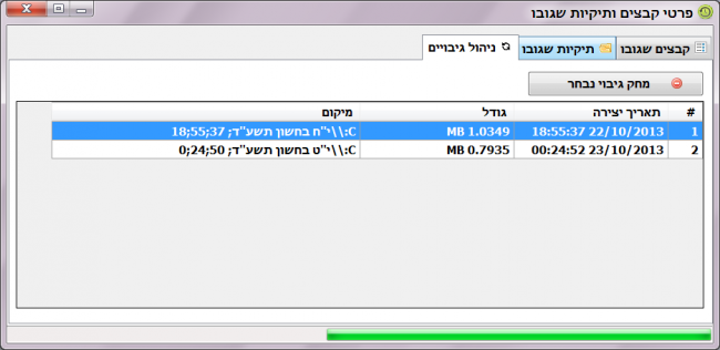 דוח גיבויים