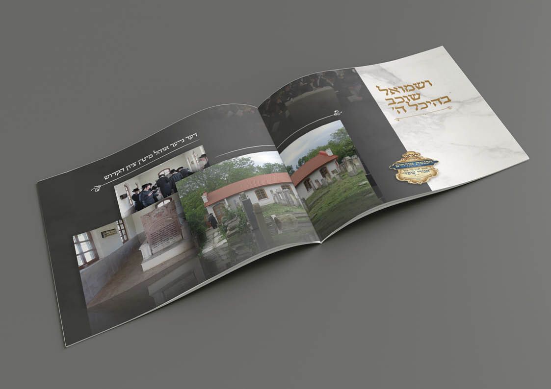 דומיננטי - פרוספקט למוסדות