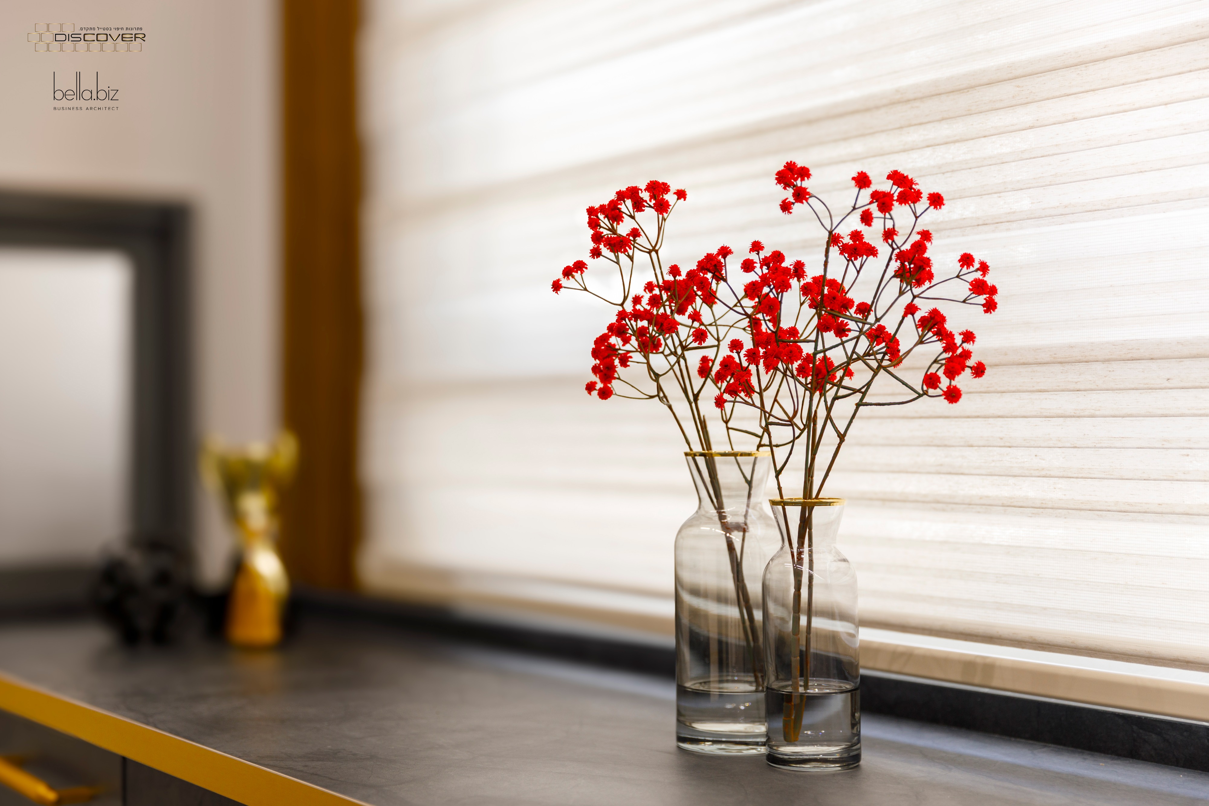 דיסקאבר -4מוקטן.jpg