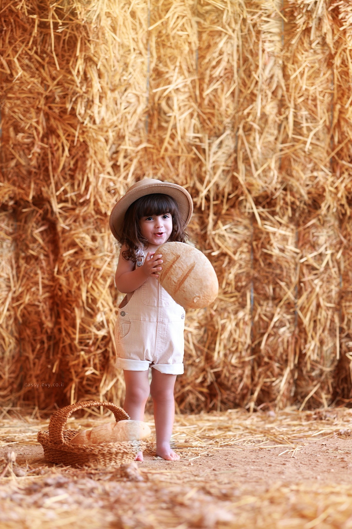 דסי לוי צלמת 0556750110 (12).jpg