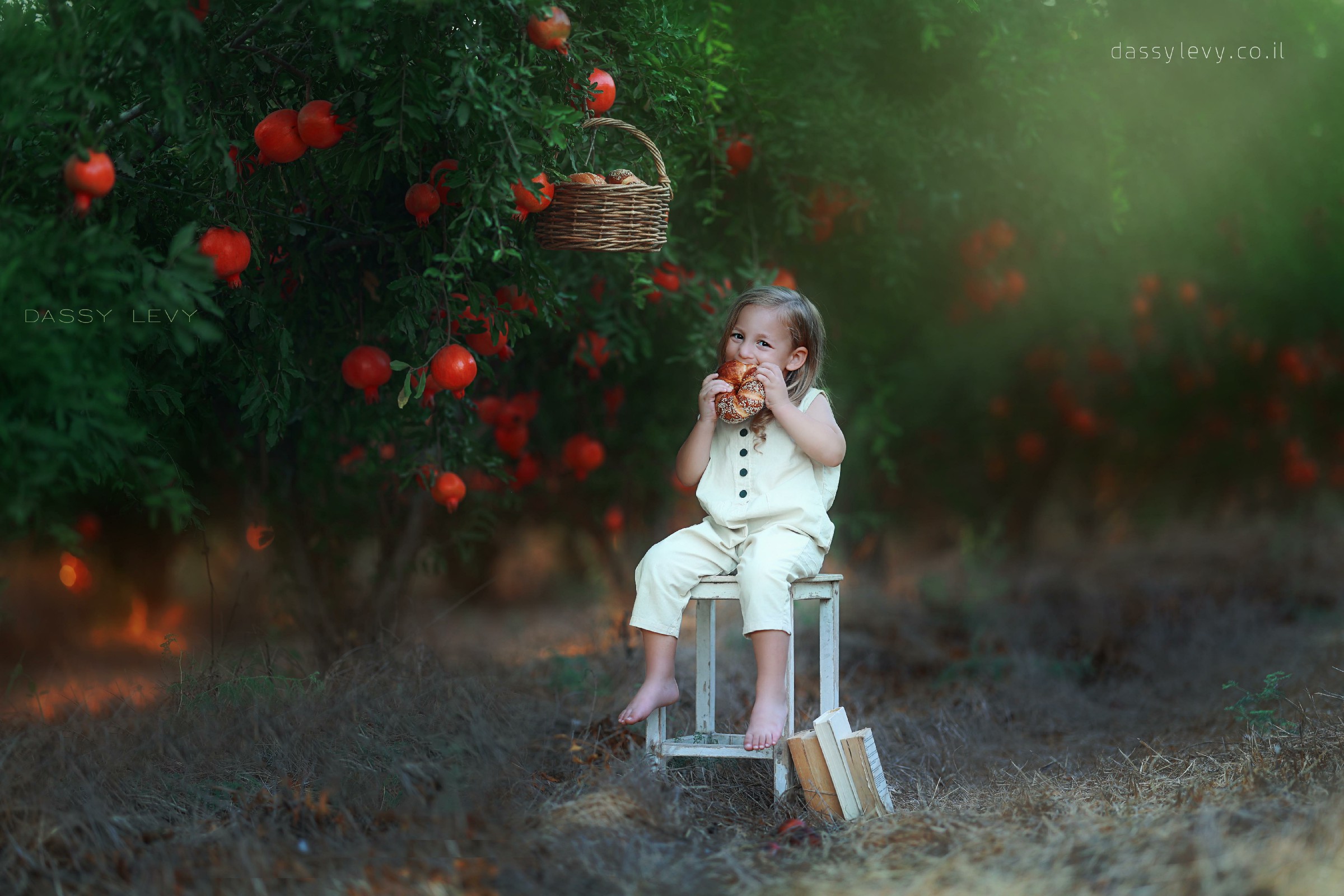 דסי לוי צלמת 0556750110 (15).jpg