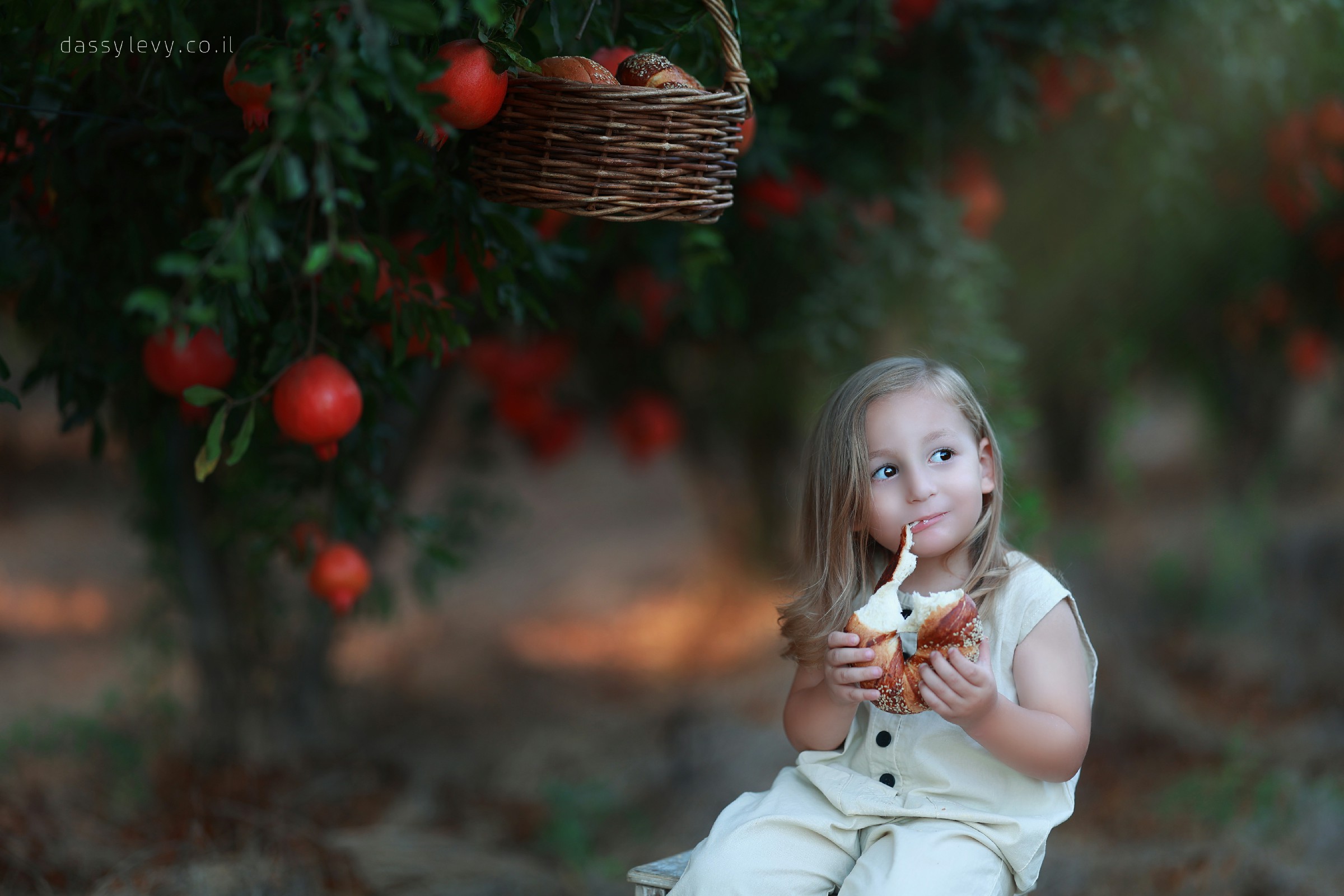 דסי לוי צלמת 0556750110 (16).jpg