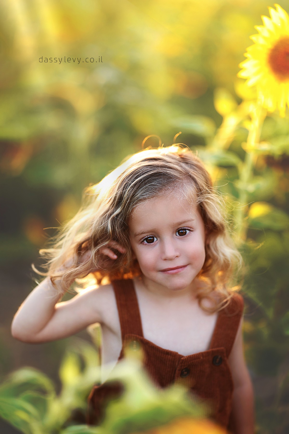 דסי לוי צלמת 0556750110 (54).jpg