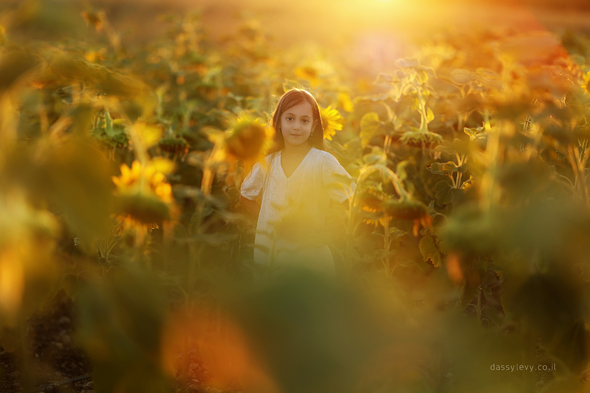 דסי לוי צלמת 0556750110 (55).jpg