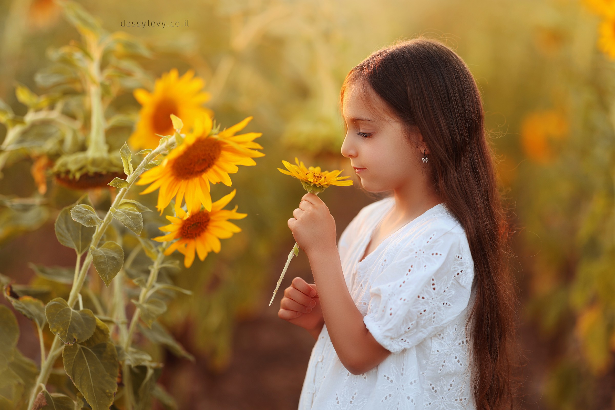 דסי לוי צלמת 0556750110 (56).jpg