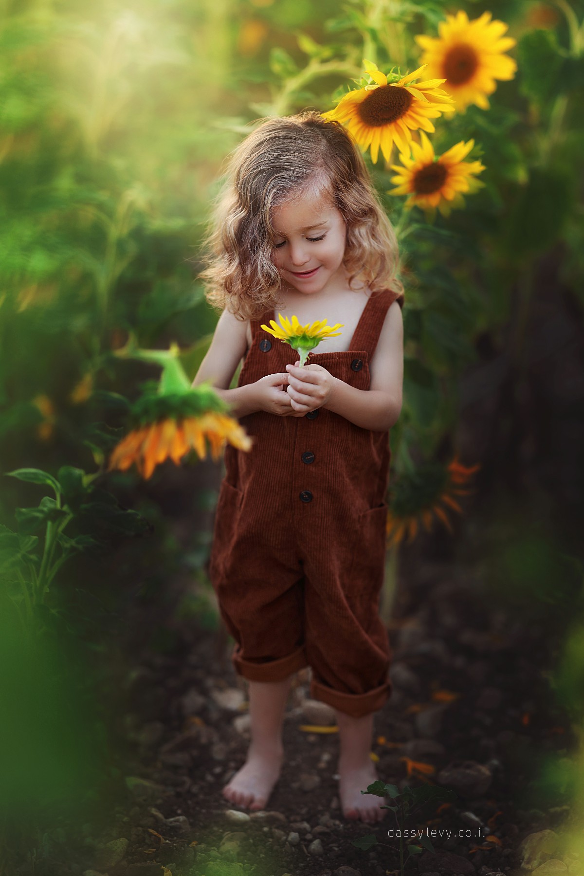 דסי לוי צלמת 0556750110 (57).jpg