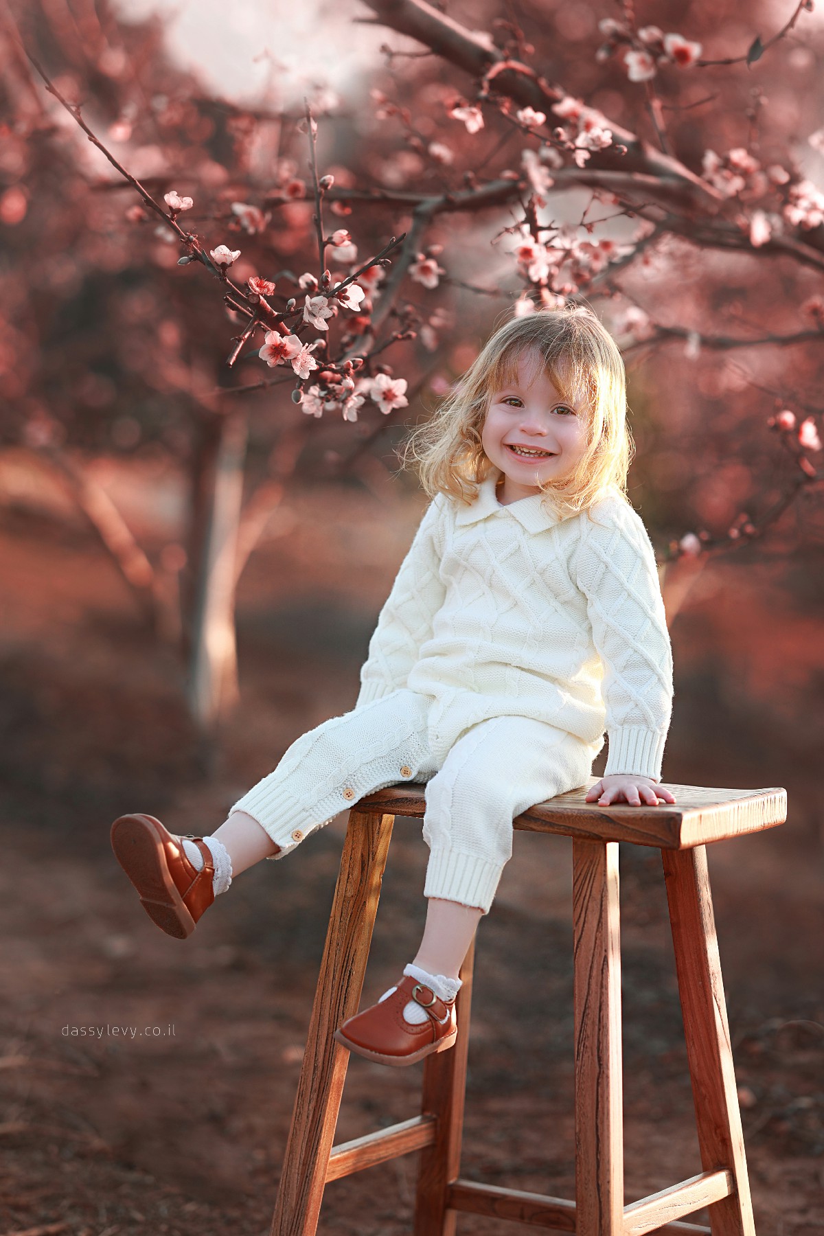 דסי לוי צלמת 0556750110 (7).jpg