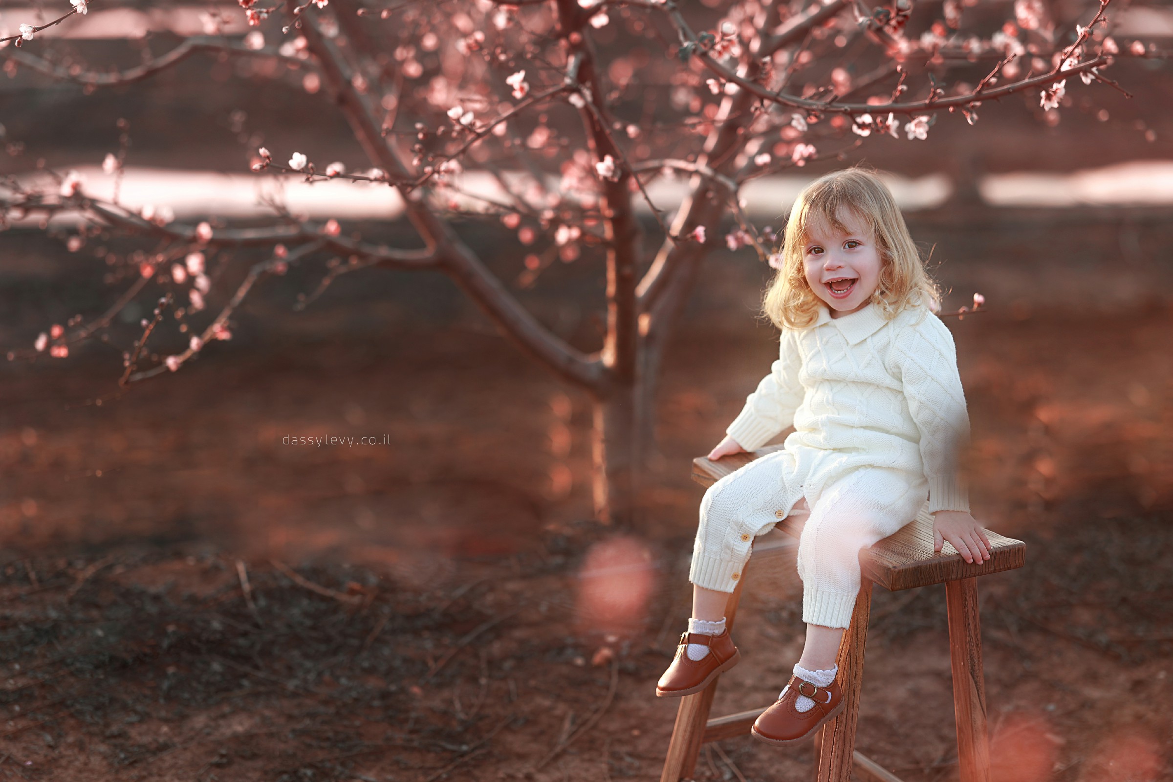 דסי לוי צלמת 0556750110 (8).jpg