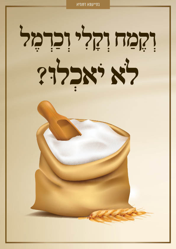 דפסחא טיזר2