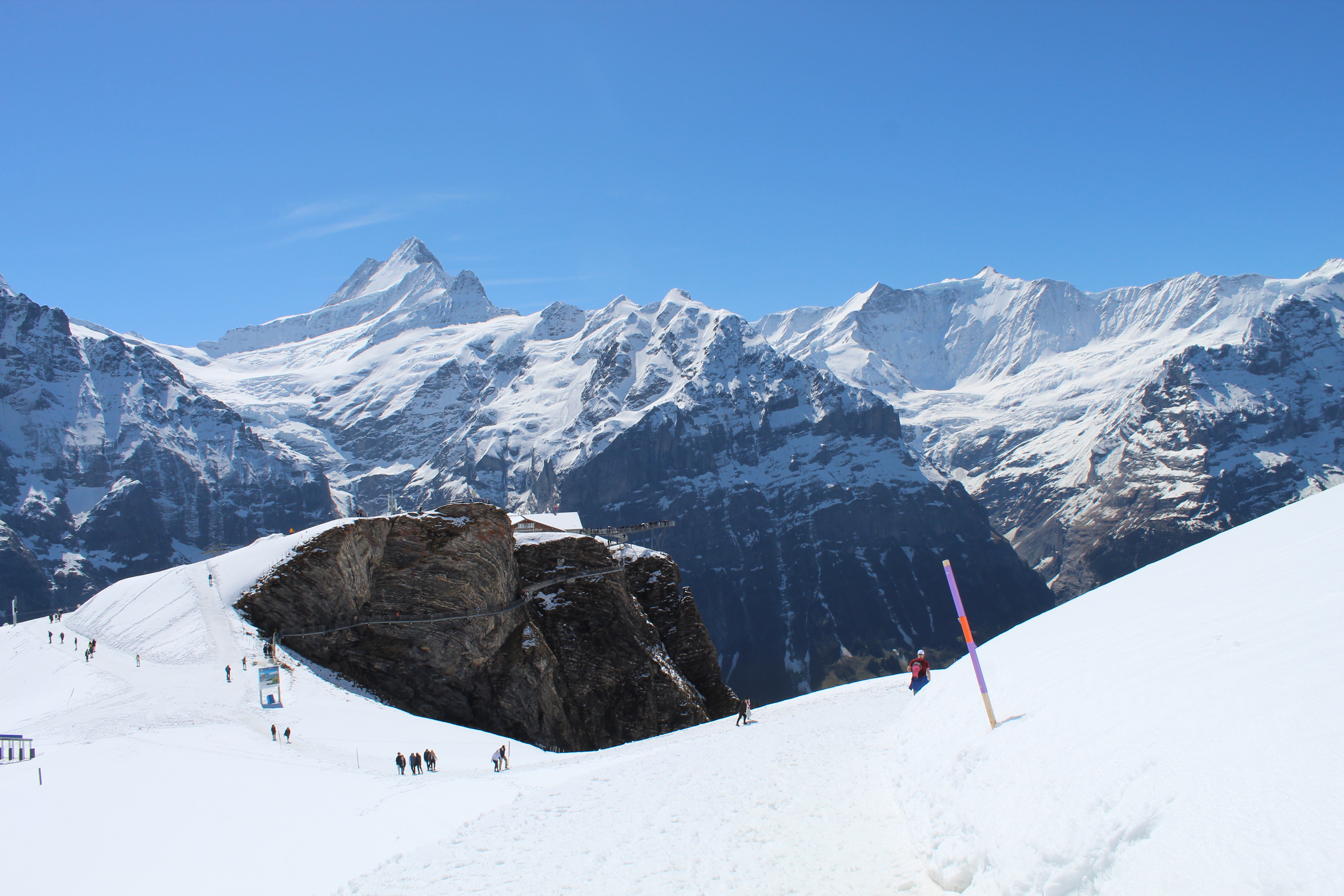 האלפים השוויצרים