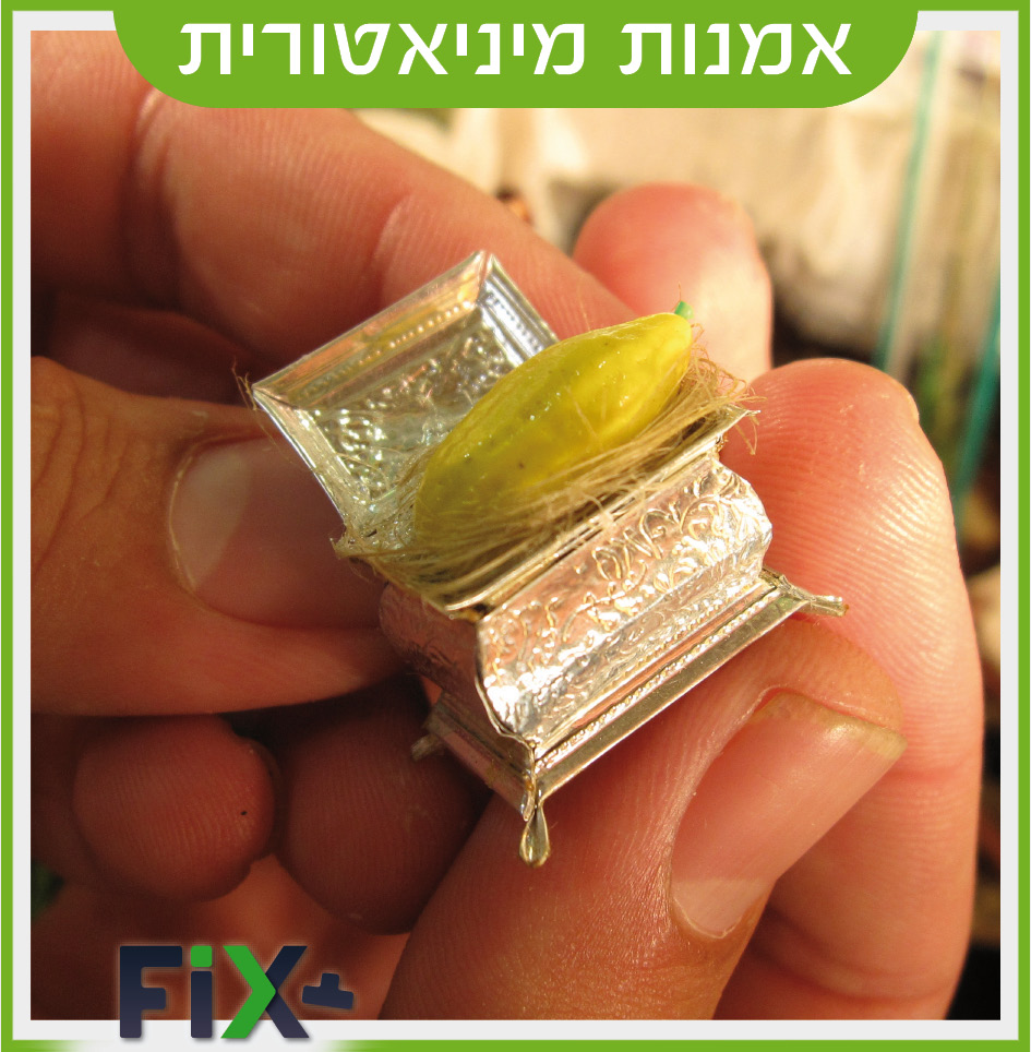 האתרוג שבסוכה