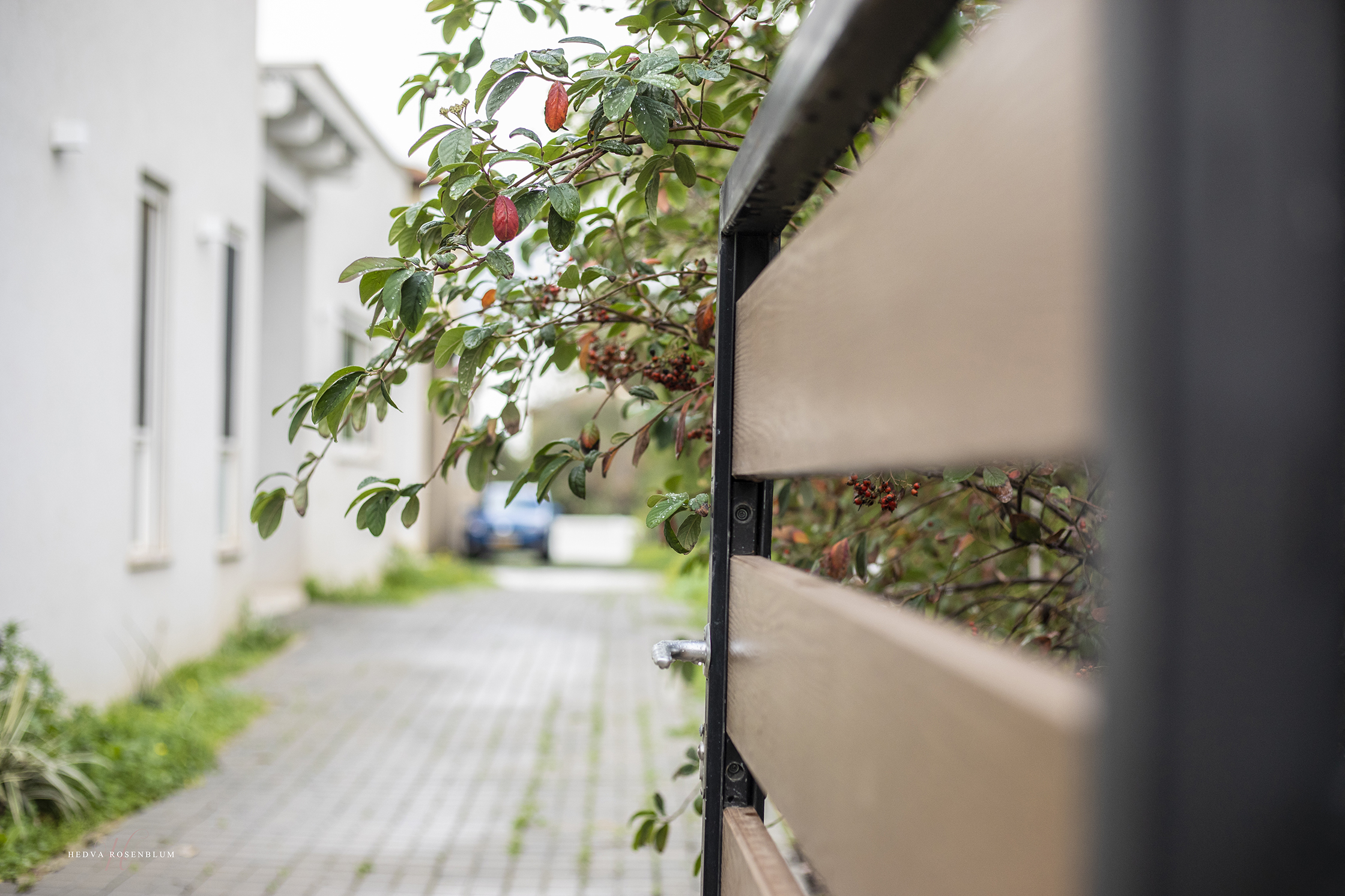 הבית של נטלי (11).jpg