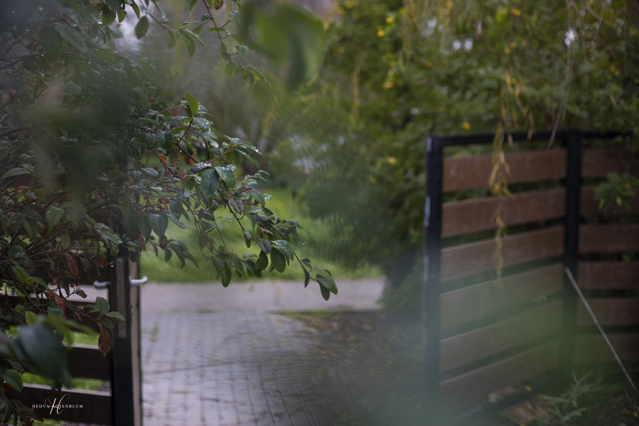 הבית של נטלי (12).jpg