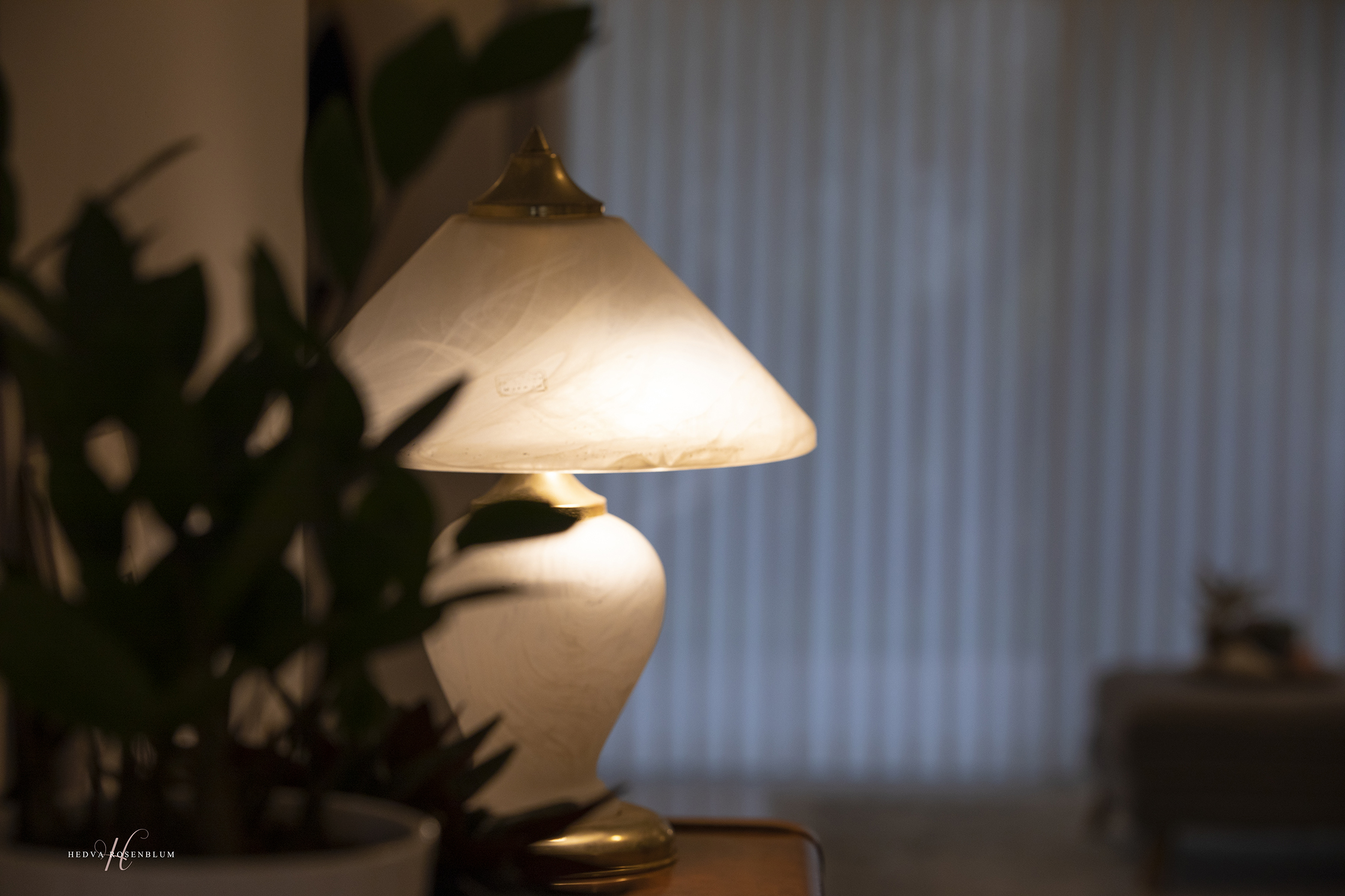 הבית של נטלי (8).jpg