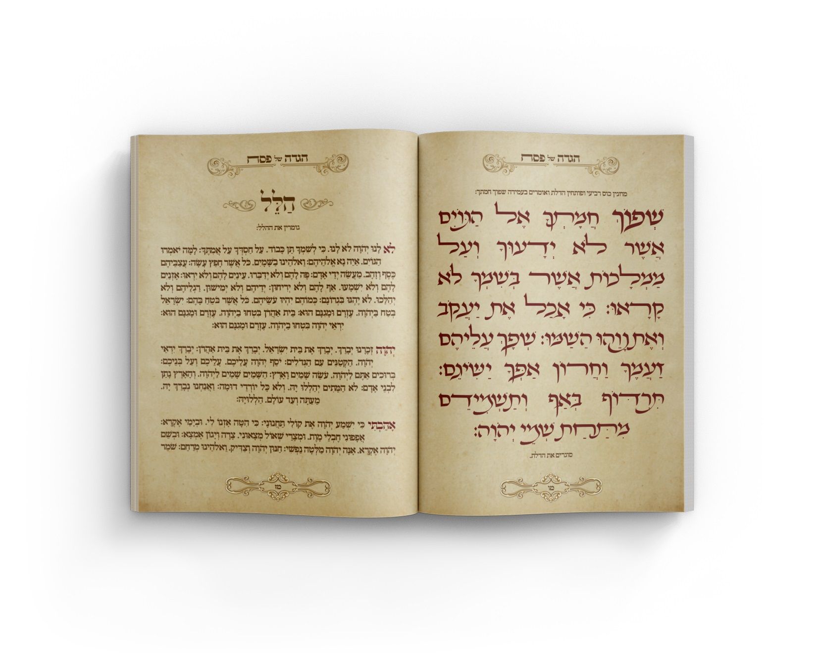 הגדה של פסח 3.jpg