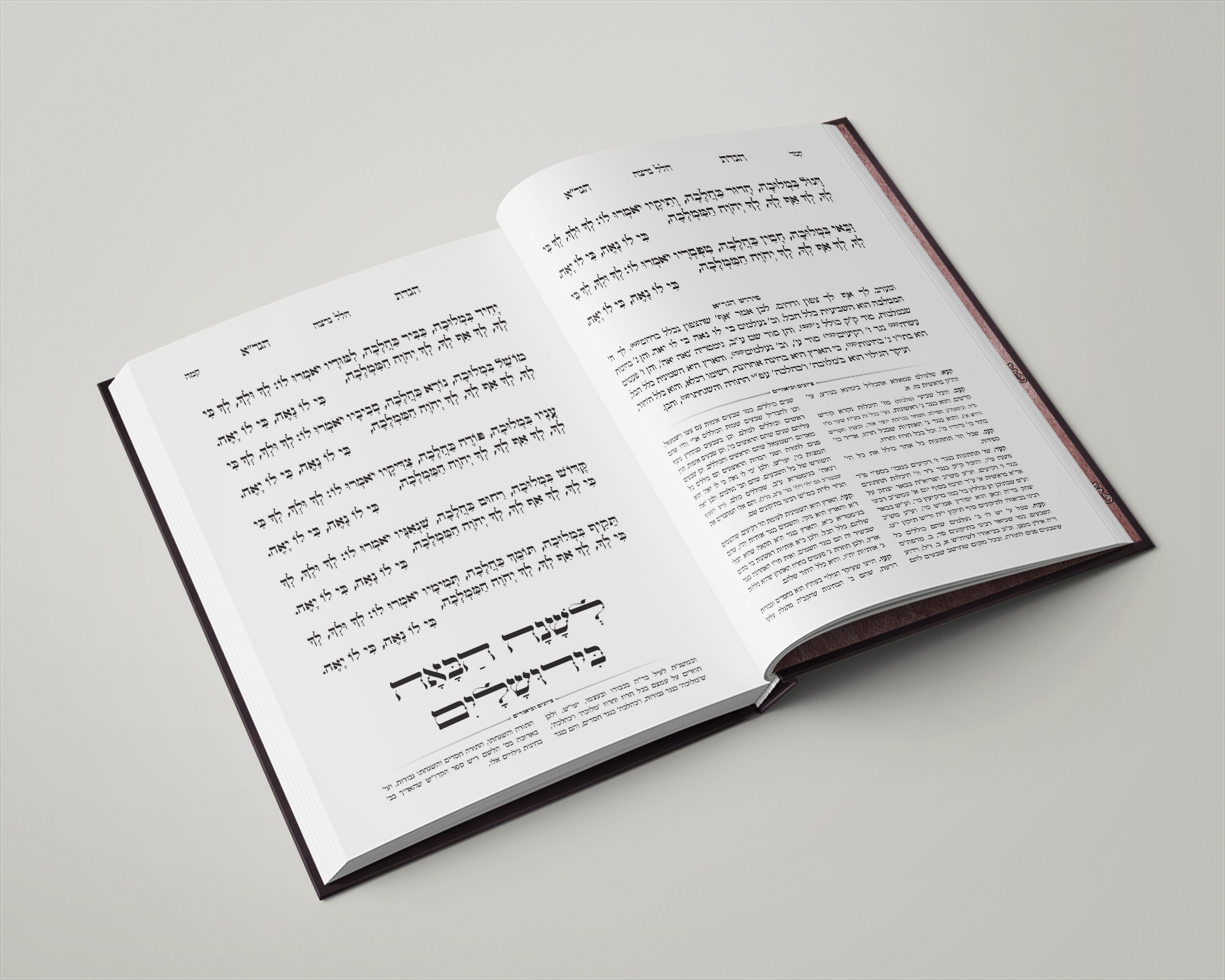 הגדת הגר''א - עימוד 8