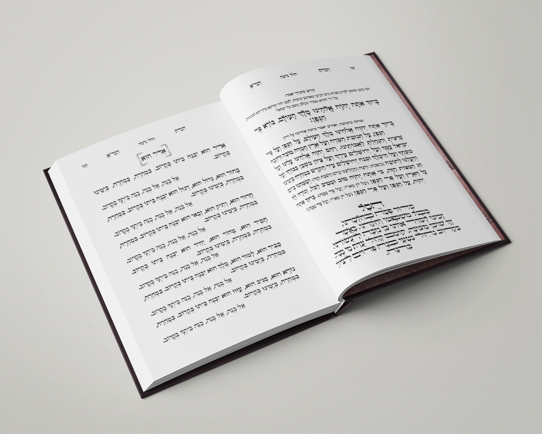 הגדת הגר''א - עימוד 9