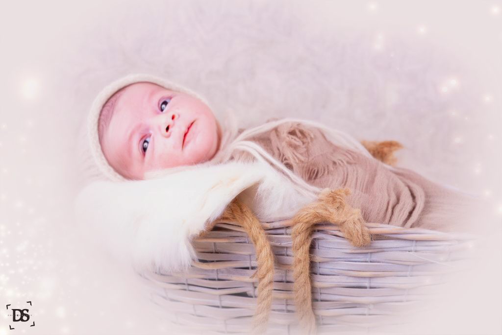 הדובדבן שבקצפת.png