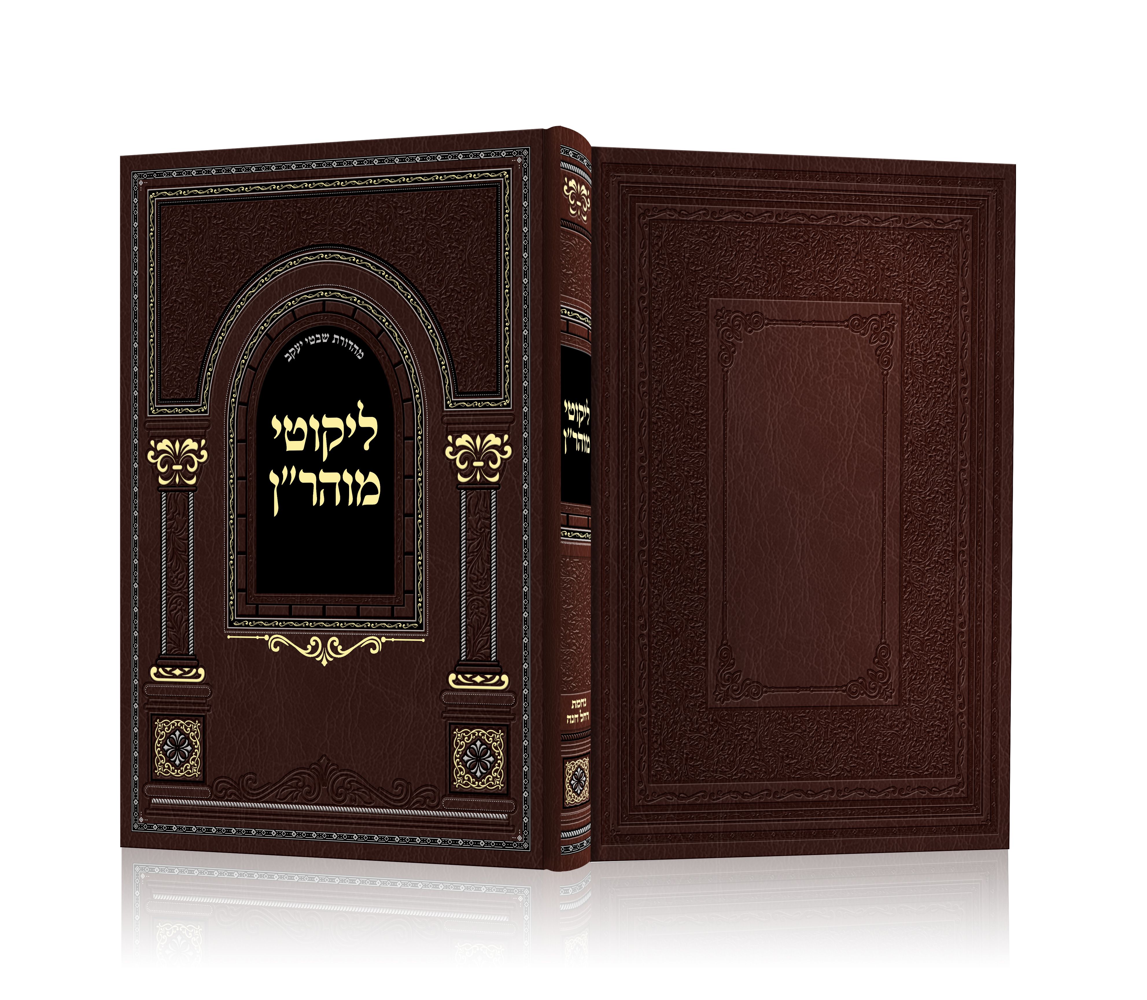 הדמיה + אחורי-Recovered.jpg