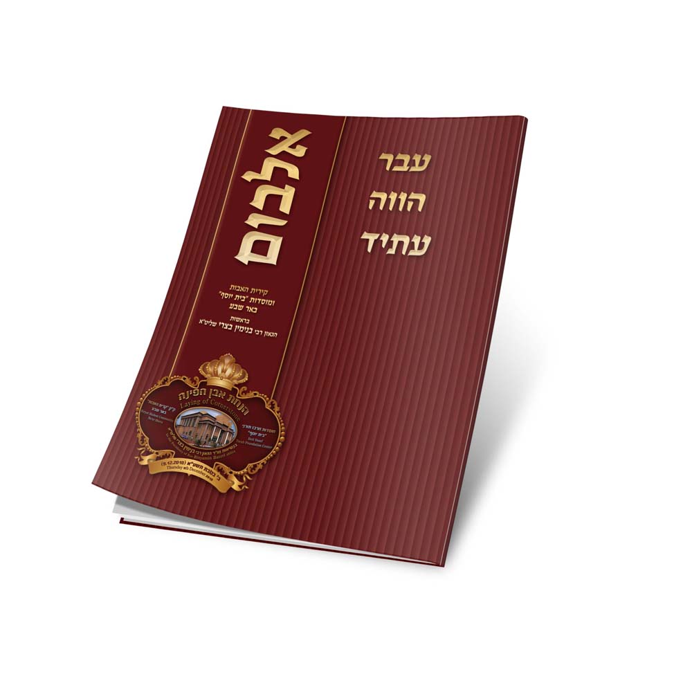 הדמיה אלבום